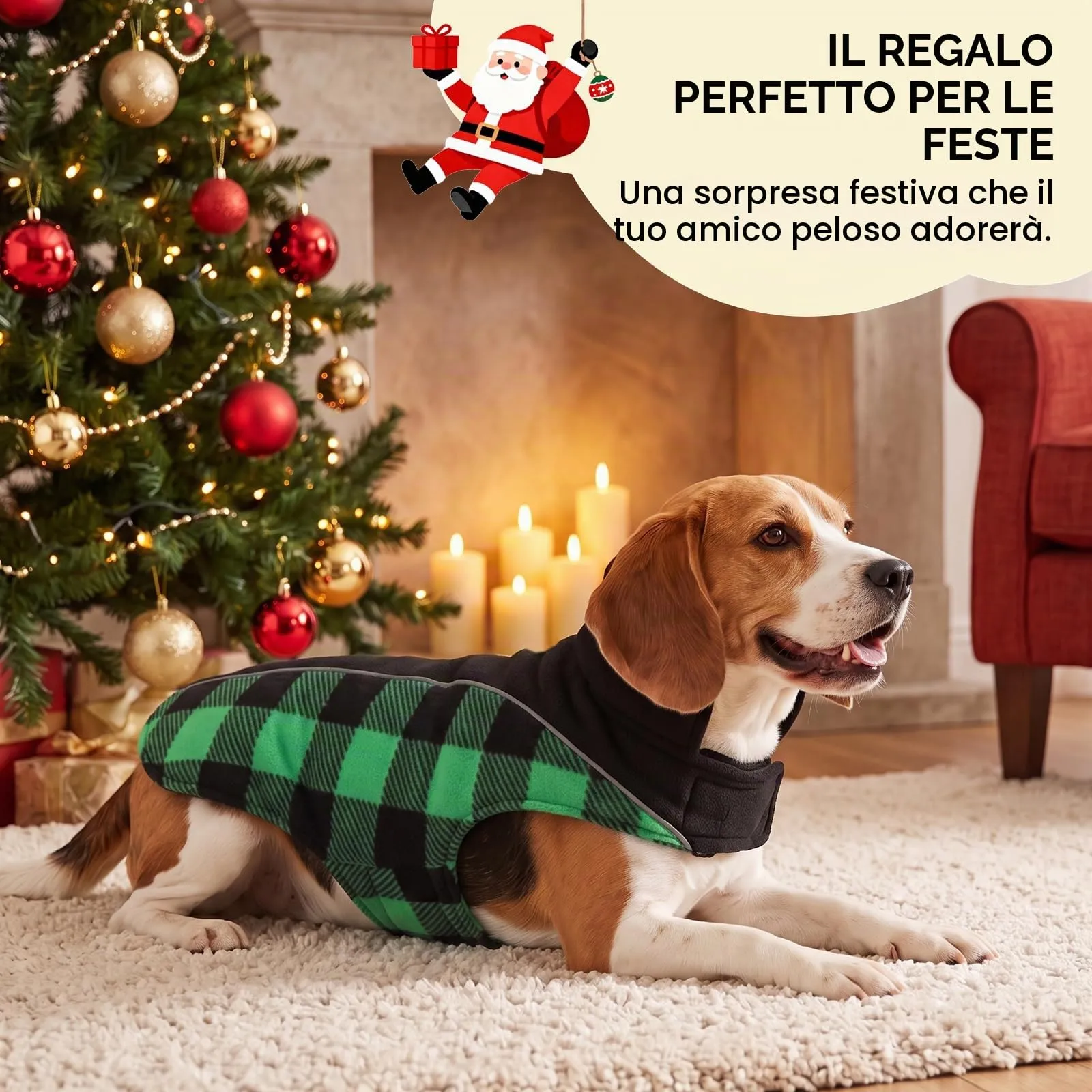 CITÉTOILE Cappotto Invernale per Cani, Giacca Calda e Antivento Verde L - immagine 6