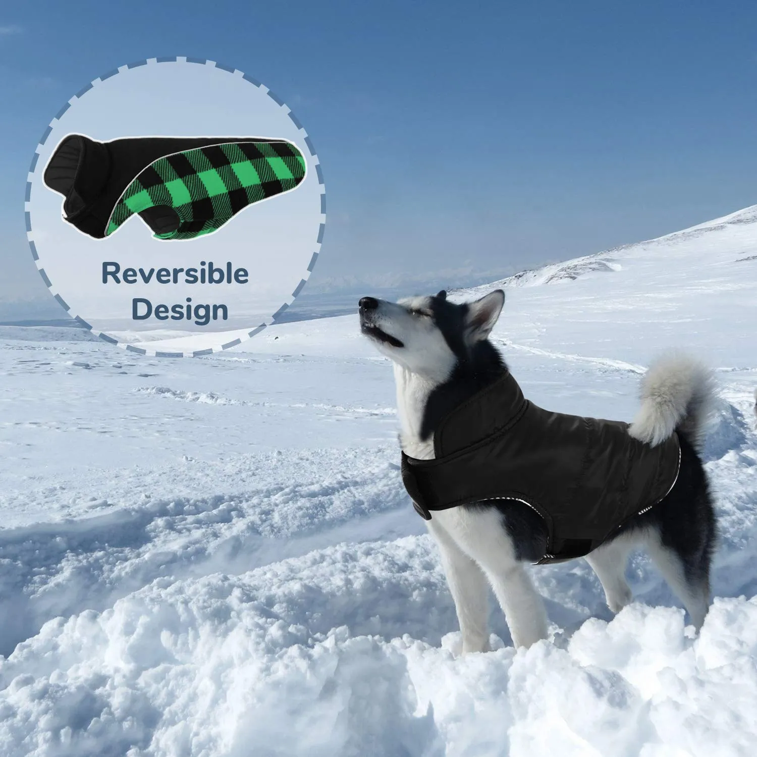 CITÉTOILE Cappotto Invernale per Cani, Giacca Calda e Antivento Verde L - immagine 8