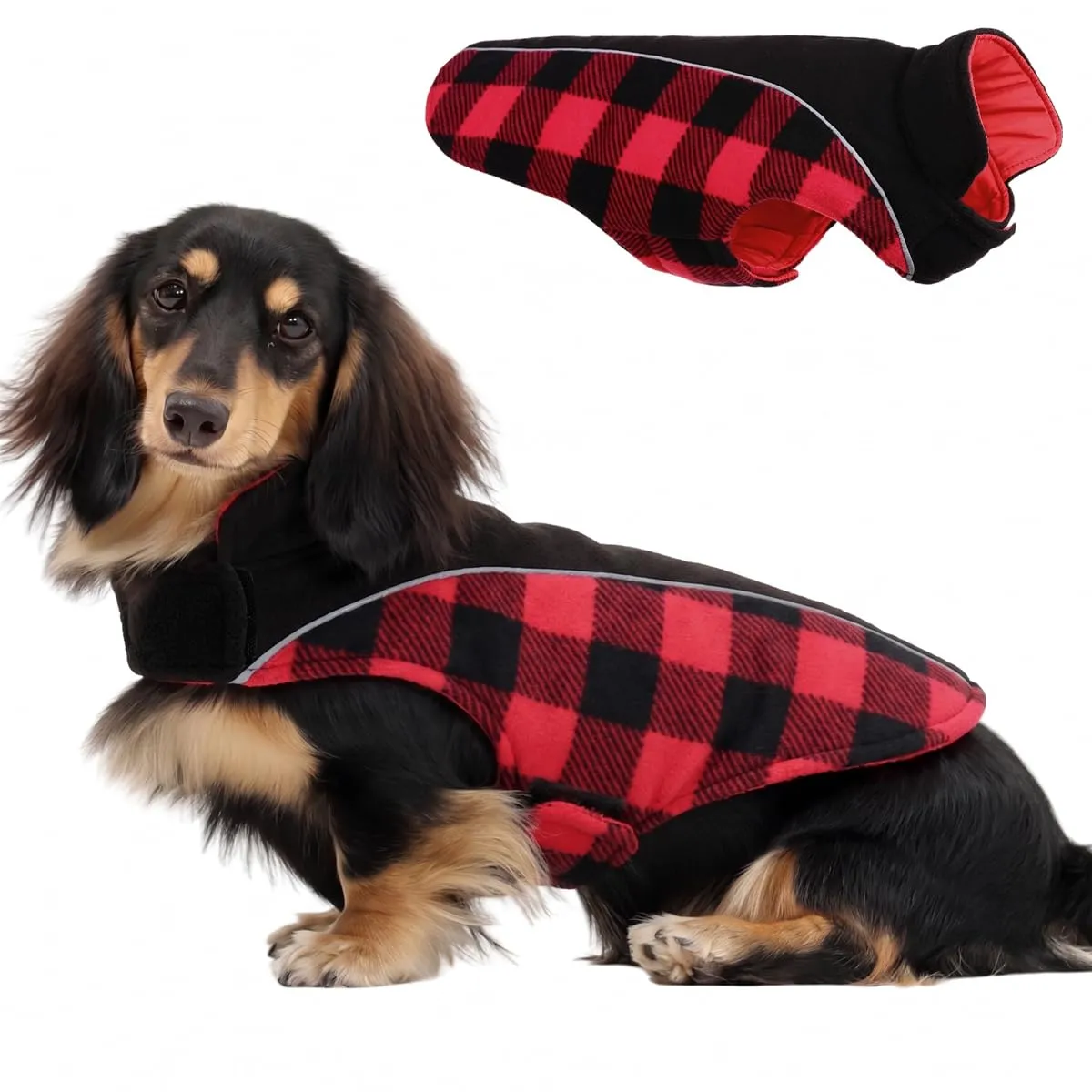 CITÉTOILE Cappotto Invernale per Cani, Giacca Calda e Antivento Rosso L - immagine 1