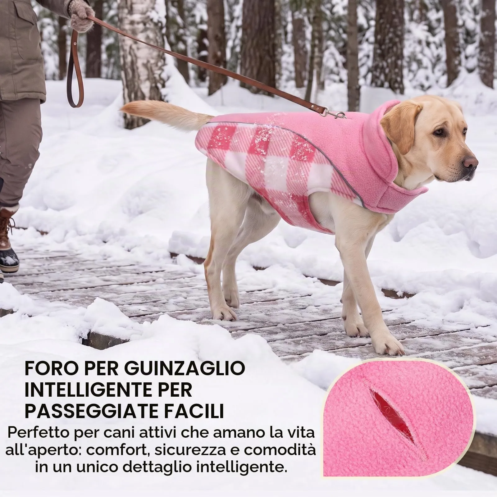 CITÉTOILE Cappotto Invernale per Cani, Giacca Calda e Antivento Rosa XXL - immagine 4