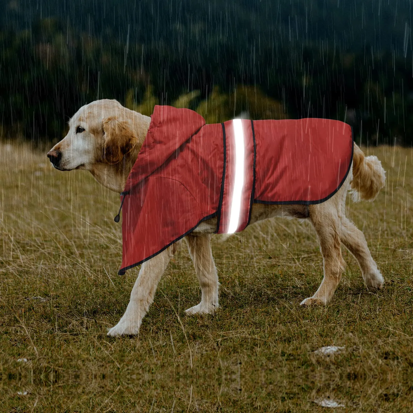 Impermeabile riflettente per cani con cappuccio, impermeabile e leggero, regolabile, per cani di taglia piccola, media e grande (M, rosso) - immagine 4