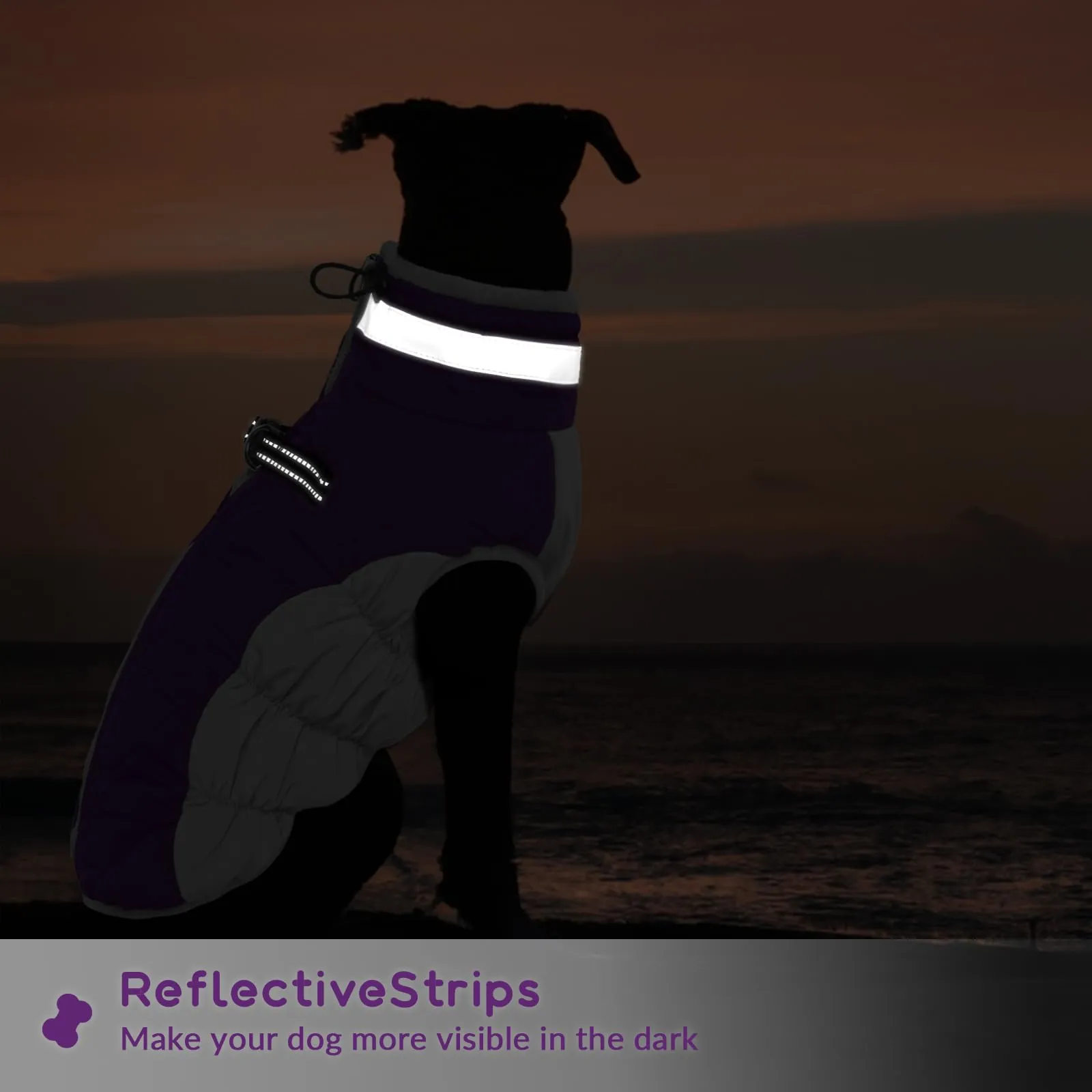 Cappotto Giubbotti caldi per cani, taglia piccola, piumino XS, vestitino bulldog francese, cappotto Chihuahua (Viola, XS) - immagine 5