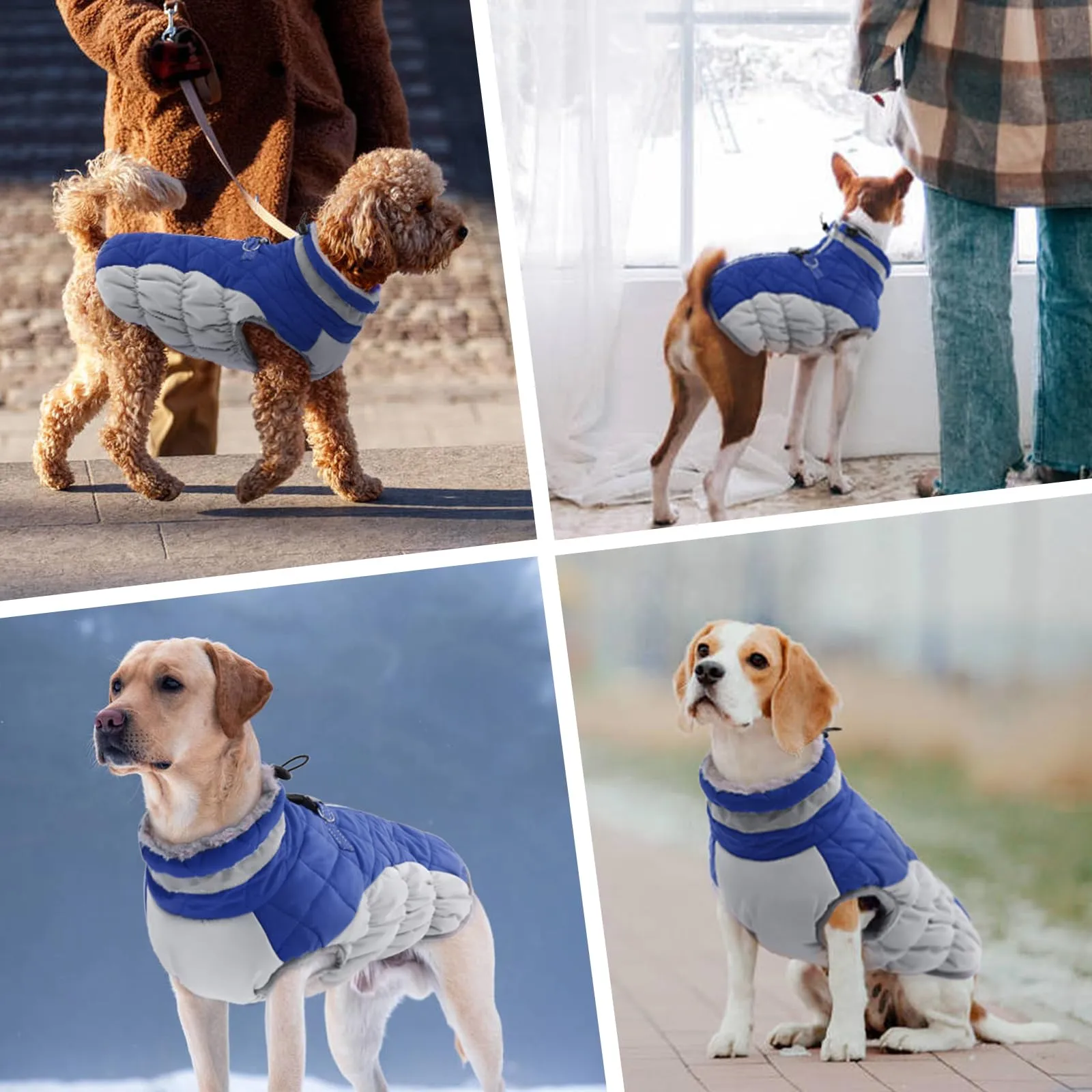 Giubbotto Per Cani Cane Taglia Media Felpa Maglioncino Blu - immagine 7