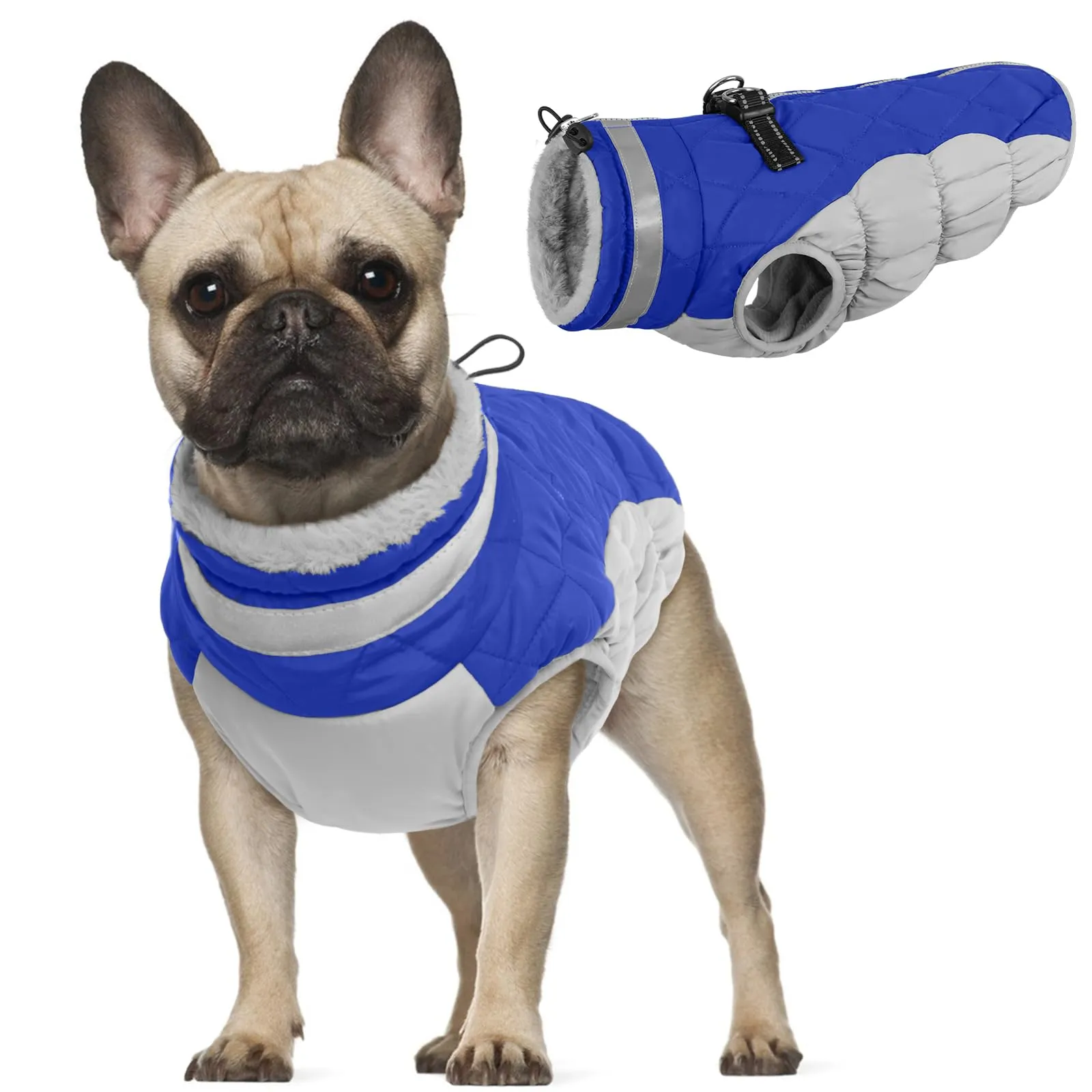 Piumino Caldo per Cani Taglia Piccola - Giubbotto Cappotto per Bulldog Francese e Chihuahua (Blu, S) - immagine 1