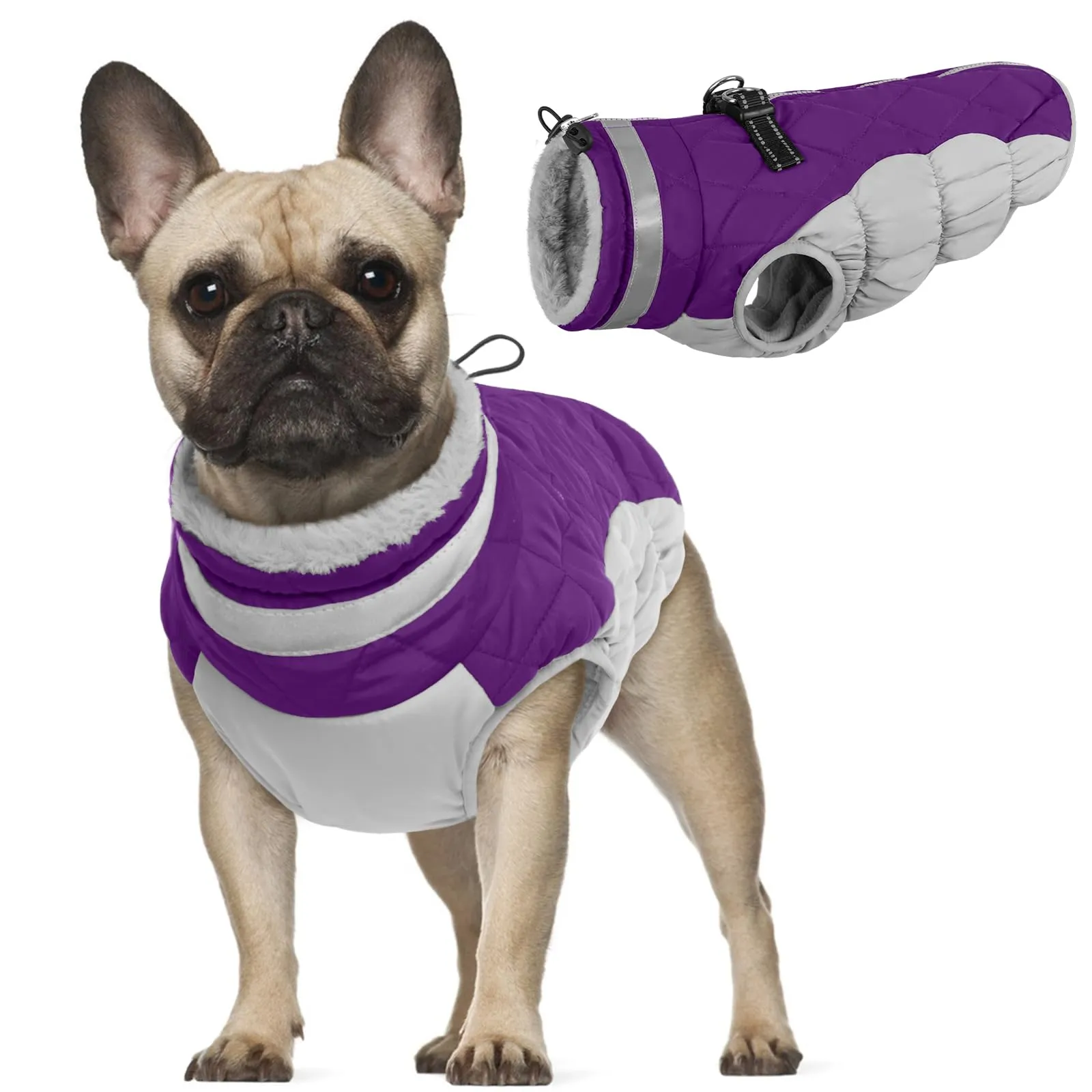 Cappotto Cane Taglia Piccola, Giubbotti Caldo per Cani, Vestitino Bulldog Francese Chihuahua (Viola, S) - immagine 1