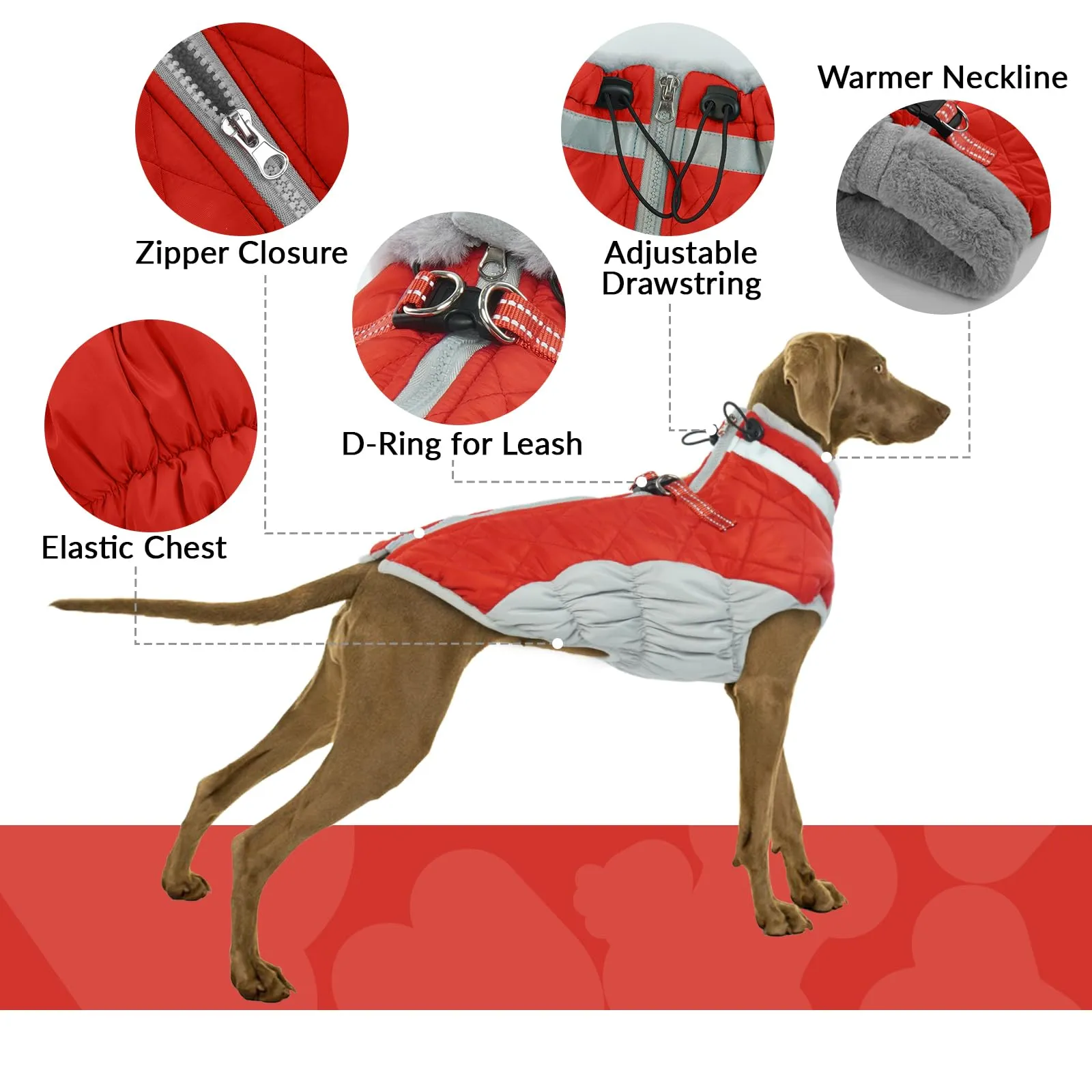 Cappotto Giubbotti caldi per cani, taglia piccola, piumino XS, vestitino per Chihuahua (Rosso, XS) - immagine 4