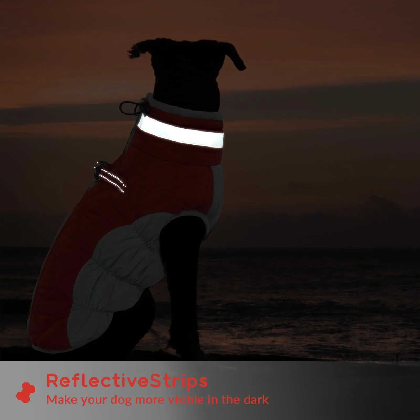 Cappotto Giubbotti caldi per cani, taglia piccola, piumino XS, vestitino per Chihuahua (Rosso, XS) - immagine 5