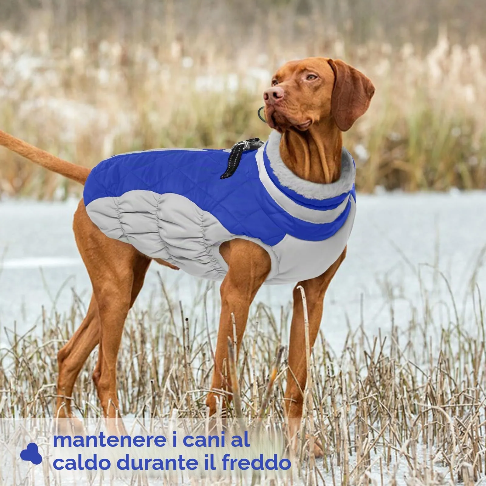 Cappotto Invernale Cani, Vestito Invernale Cappottino Caldo Abbigliamento Anti-neve Giacca Felpa con Colletto in Pelliccia Piegabile (Blu, L) - immagine 6