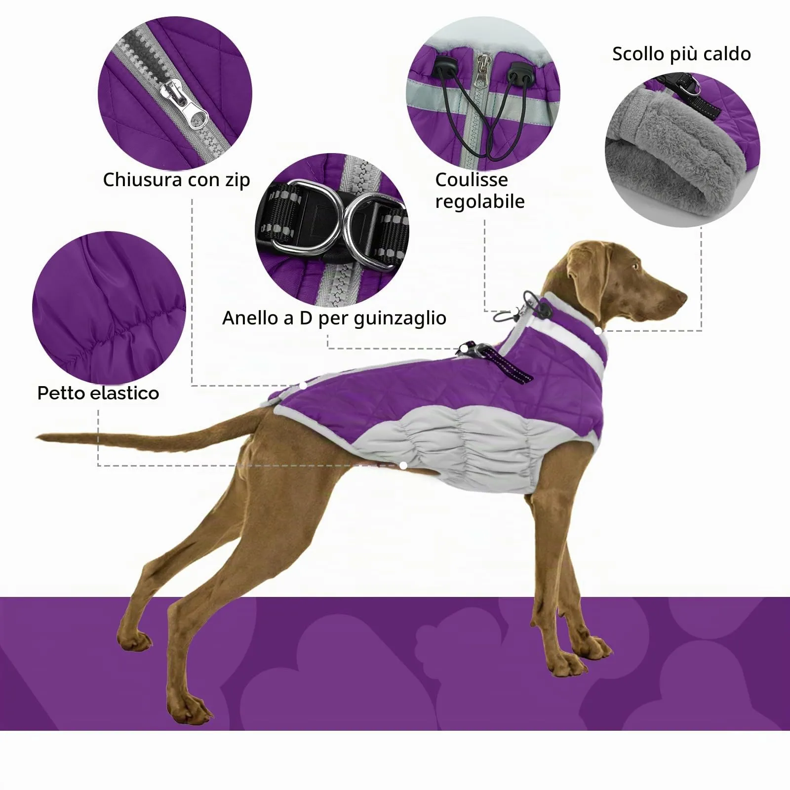 Giubbotto Per Cani, Cappottino Cane Taglia Media Felpa Per Cani Giubbino Cane Maglioncino per Cani (Viola, M) - immagine 4