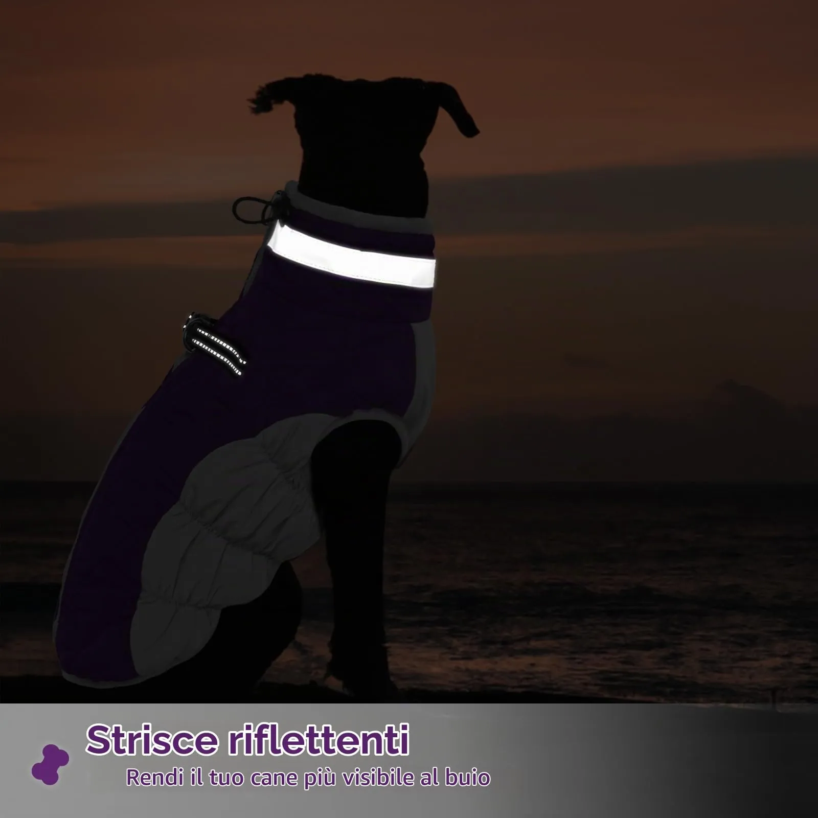 Giubbotto Per Cani, Cappottino Cane Taglia Media Felpa Per Cani Giubbino Cane Maglioncino per Cani (Viola, M) - immagine 5