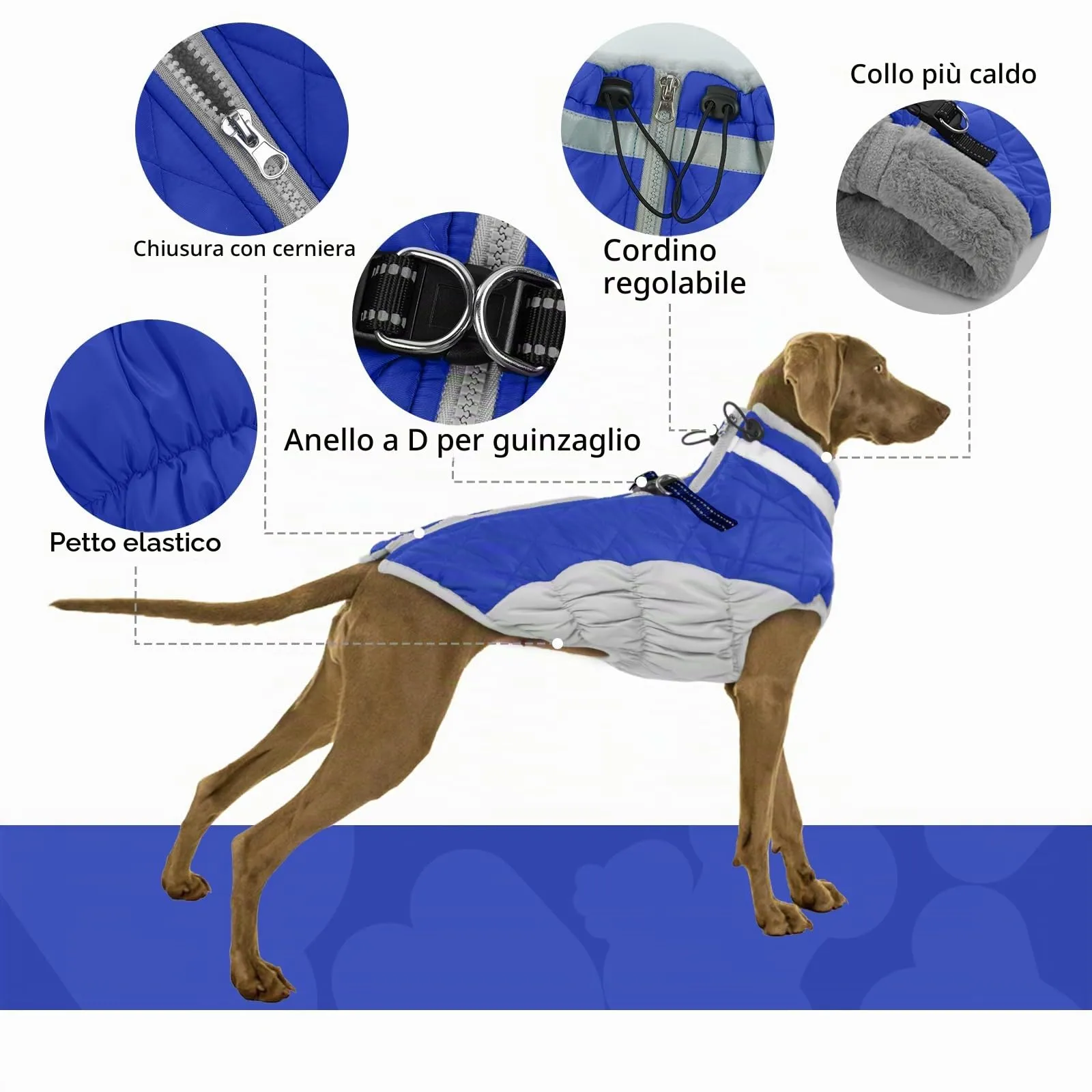 Piumino Cane XS, Cappotto per Bulldog Francese e Chihuahua, Blu - immagine 4