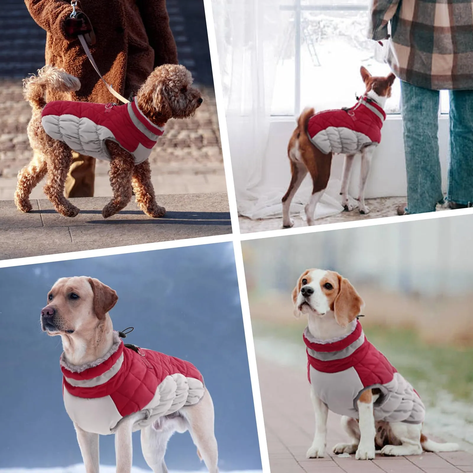 Cappotto Impermeabile per Cani Taglia Grande - Giacca Calda Invernale, Giubbotto Termico Piumino (Rosso, XL) - immagine 7
