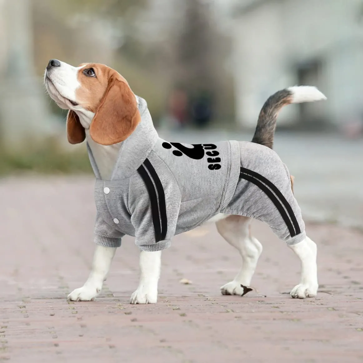 Dolahovy Felpa con cappuccio per cani Abbigliamento animali domestici Maglioni cuccioli autunno inverno Cappotti in pile cani Abito cane cotone per Chihuahua Small Medium Cani - immagine 5