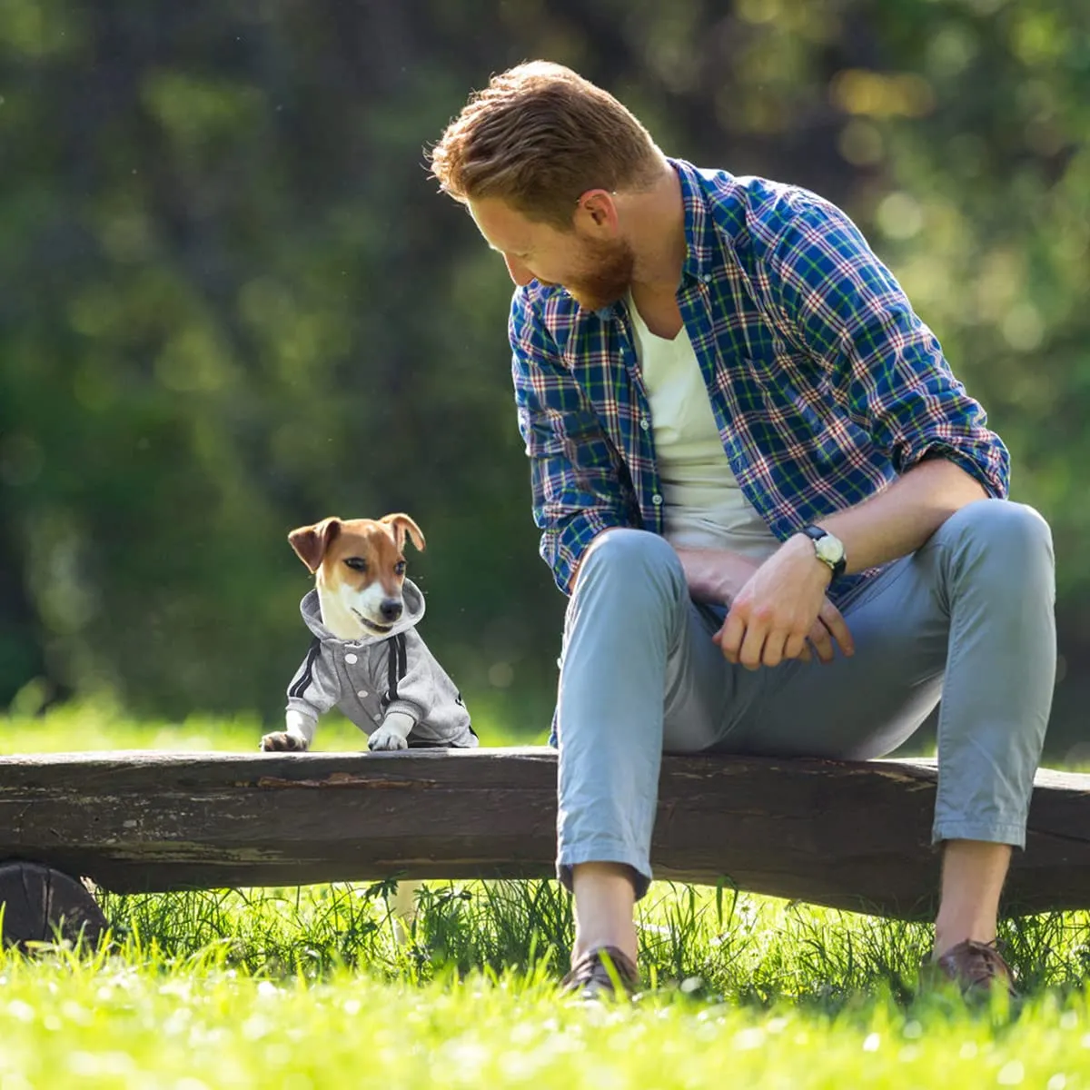 Dolahovy Felpa con cappuccio per cani Abbigliamento animali domestici Maglioni cuccioli autunno inverno Cappotti in pile cani Abito cane cotone per Chihuahua Small Medium Cani - immagine 5