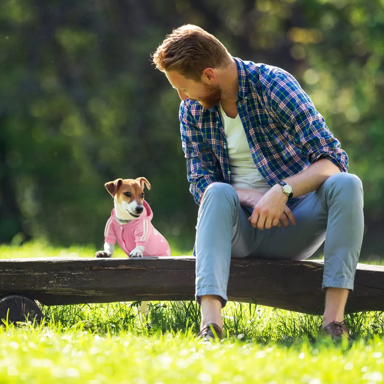 Dolahovy Felpa con cappuccio per cani Abbigliamento animali domestici Maglioni cuccioli autunno inverno Cappotti in pile cani Abito cane cotone per Chihuahua Small Medium Cani - immagine 4