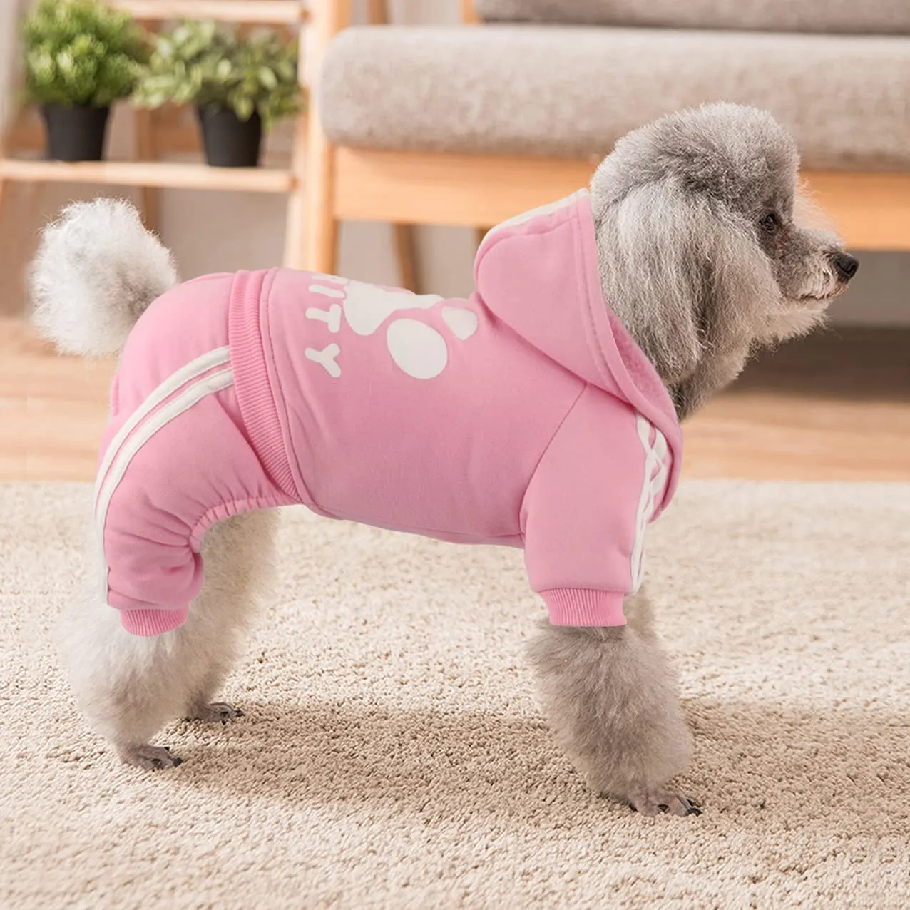 Dolahovy Felpa con cappuccio per cani Abbigliamento animali domestici Maglioni cuccioli autunno inverno Cappotti in pile cani Abito cane cotone per Chihuahua Small Medium Cani - immagine 7