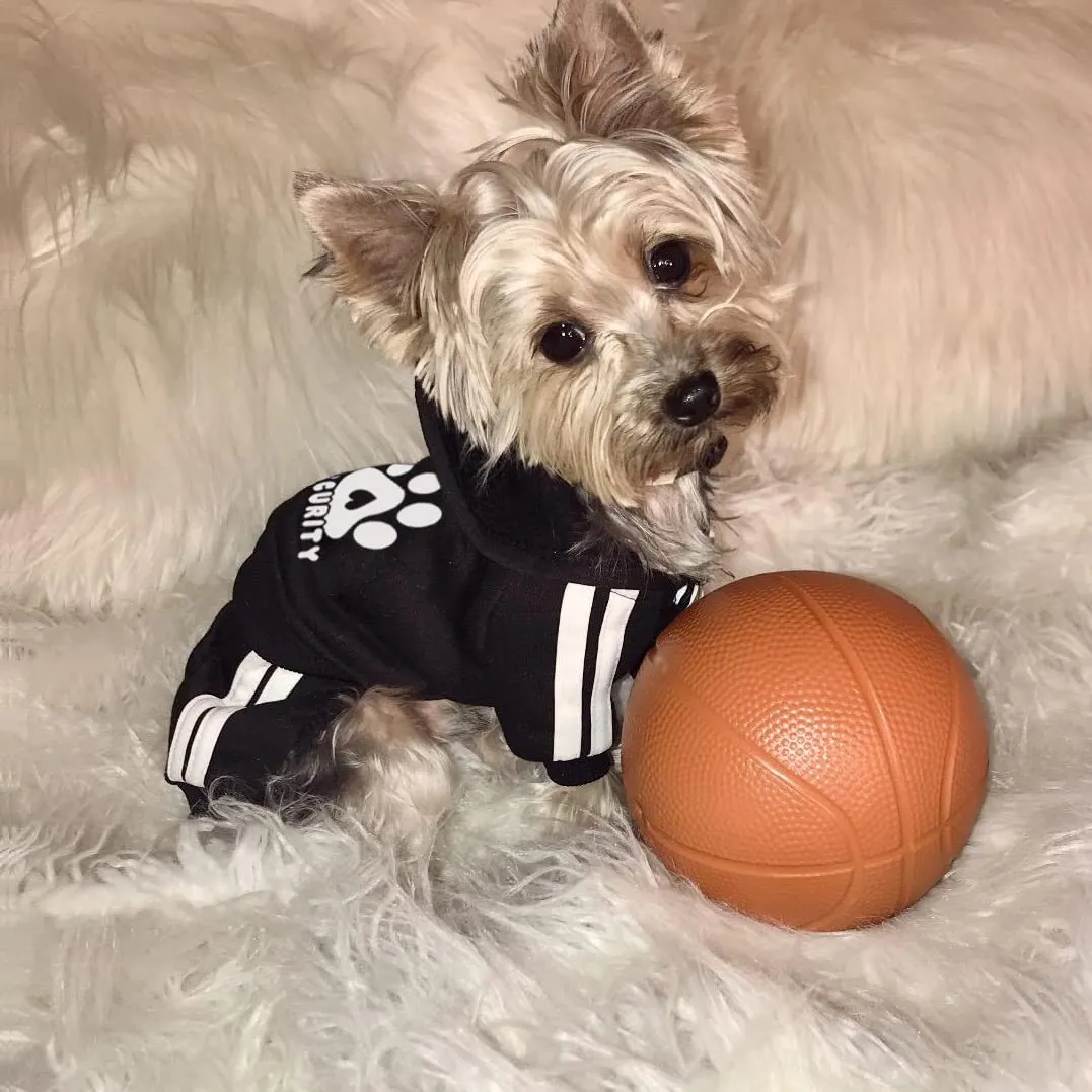 Dolahovy Felpa con cappuccio per cani Abbigliamento animali domestici Maglioni cuccioli autunno inverno Cappotti in pile cani Abito cane cotone per Chihuahua Small Medium Cani - immagine 5