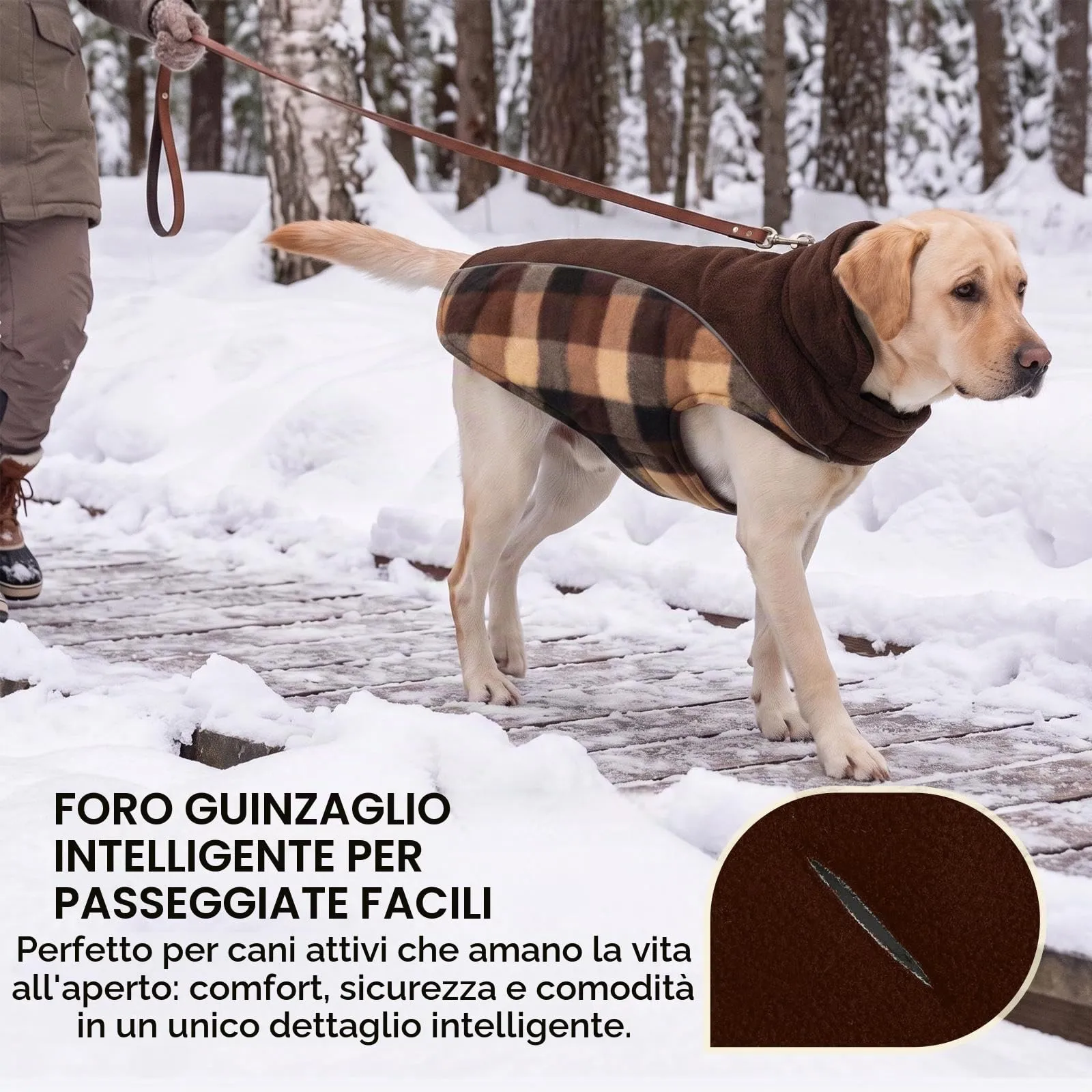 CITÉTOILE Cappotto Invernale per Cani, Giacca Calda e Antivento Marrone L - immagine 4
