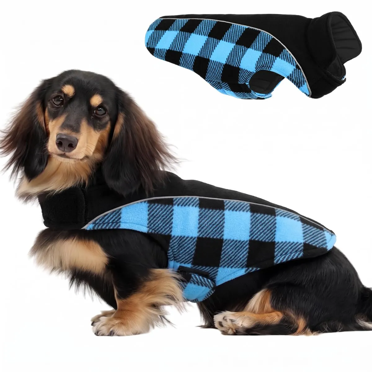 CITÉTOILE Cappotto Invernale per Cani, Giacca Calda e Antivento Blu L - immagine 1
