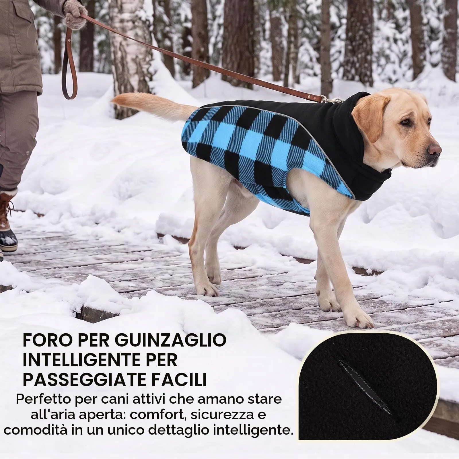 CITÉTOILE Cappotto Invernale per Cani, Giacca Calda e Antivento Blu L - immagine 4