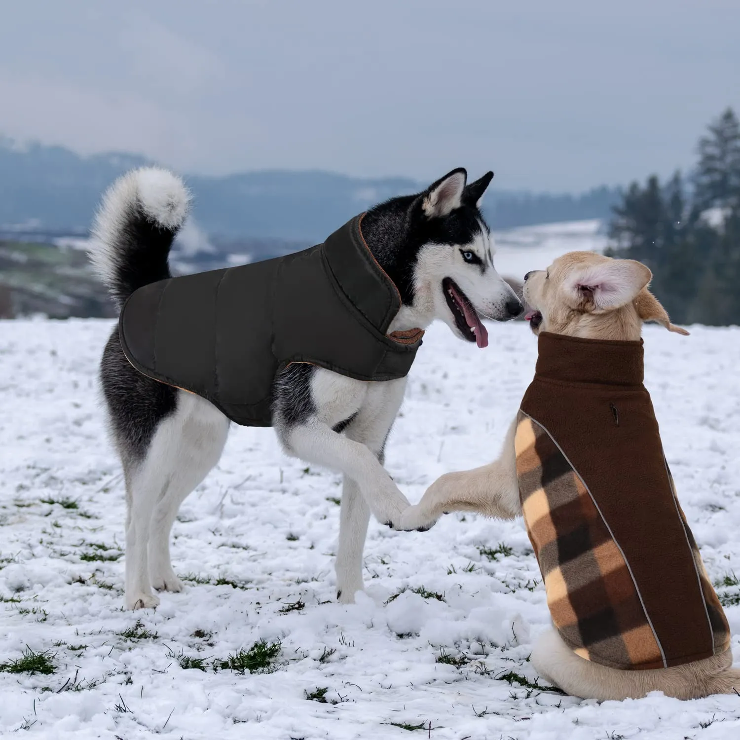 CITÉTOILE Cappotto Invernale per Cani, Giacca Calda e Antivento Marrone XS - immagine 8