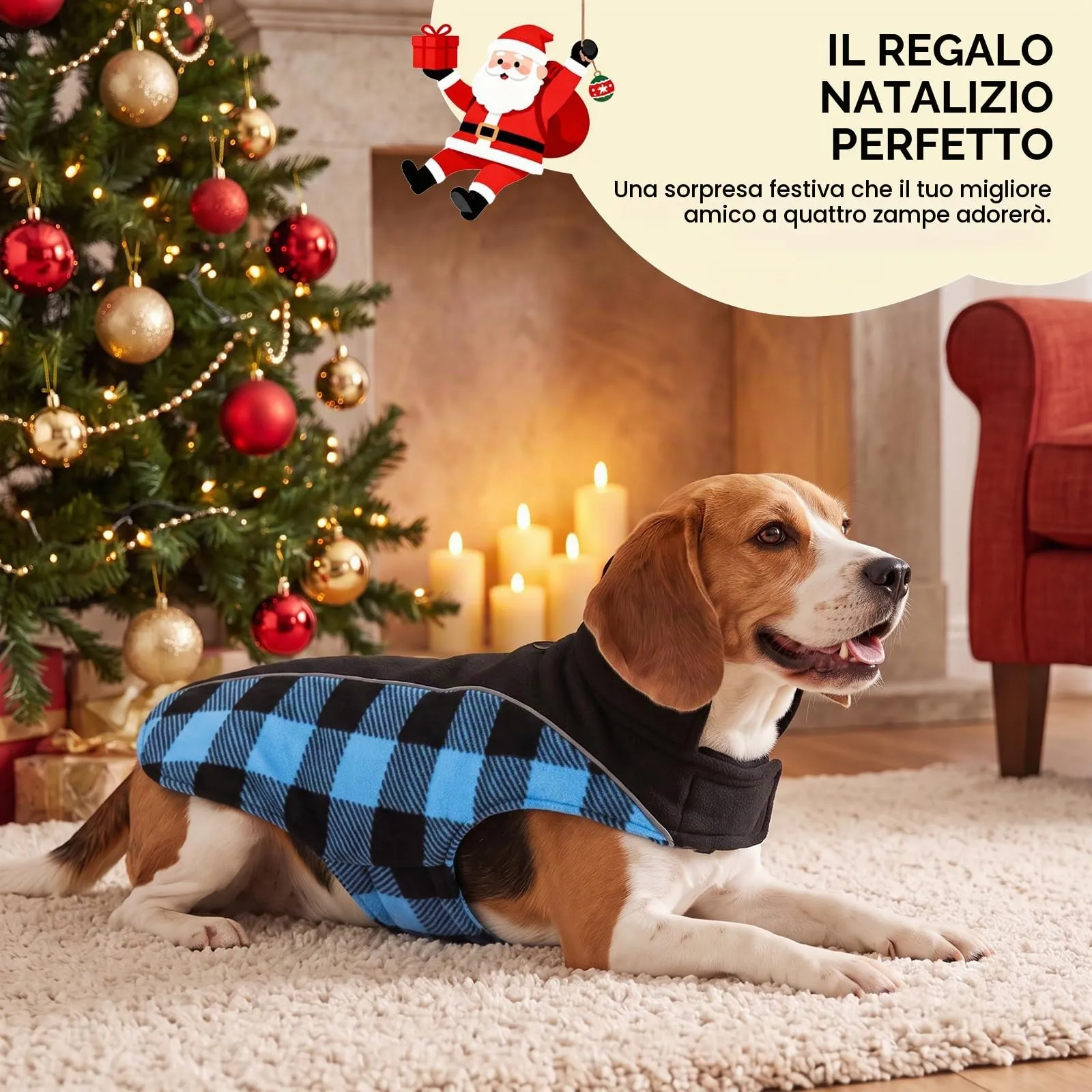 CITÉTOILE Cappotto Invernale per Cani, Giacca Calda e Antivento Blu S - immagine 6