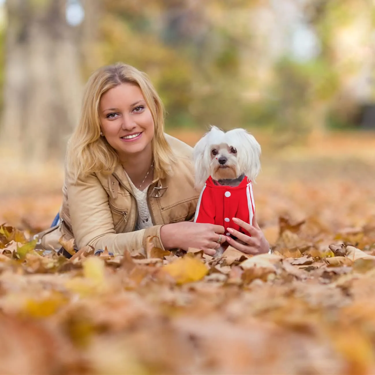 Dolahovy Felpa con cappuccio per cani Abbigliamento animali domestici Maglioni cuccioli autunno inverno Cappotti in pile cani Abito cane cotone per Chihuahua Small Medium Cani - immagine 3