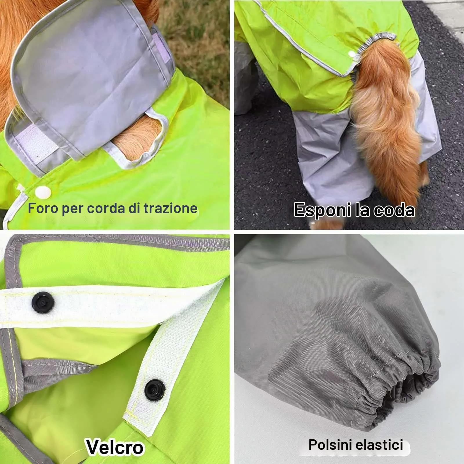 Impermeabile per Cani, Cappotto Impermeabile per Cani con Cappuccio, Poncho Impermeabile Giacca Antipioggia Leggera per Animali ad Asciugatura Rapida per Cane Taglia Media/Grande - Verde (26) - immagine 4