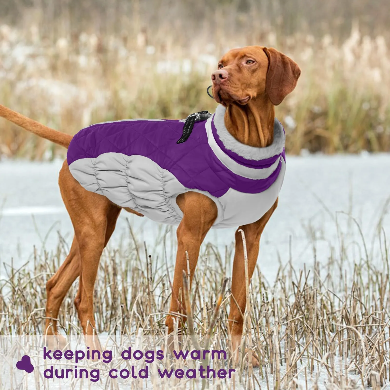Giubbotto Per Cani Taglia Grande, Giacca Impermeabile Cane Giacca Cane Taglia Grande Cappotto Pile Cane Cappotto Labrador(Viola, 3XL) - immagine 6
