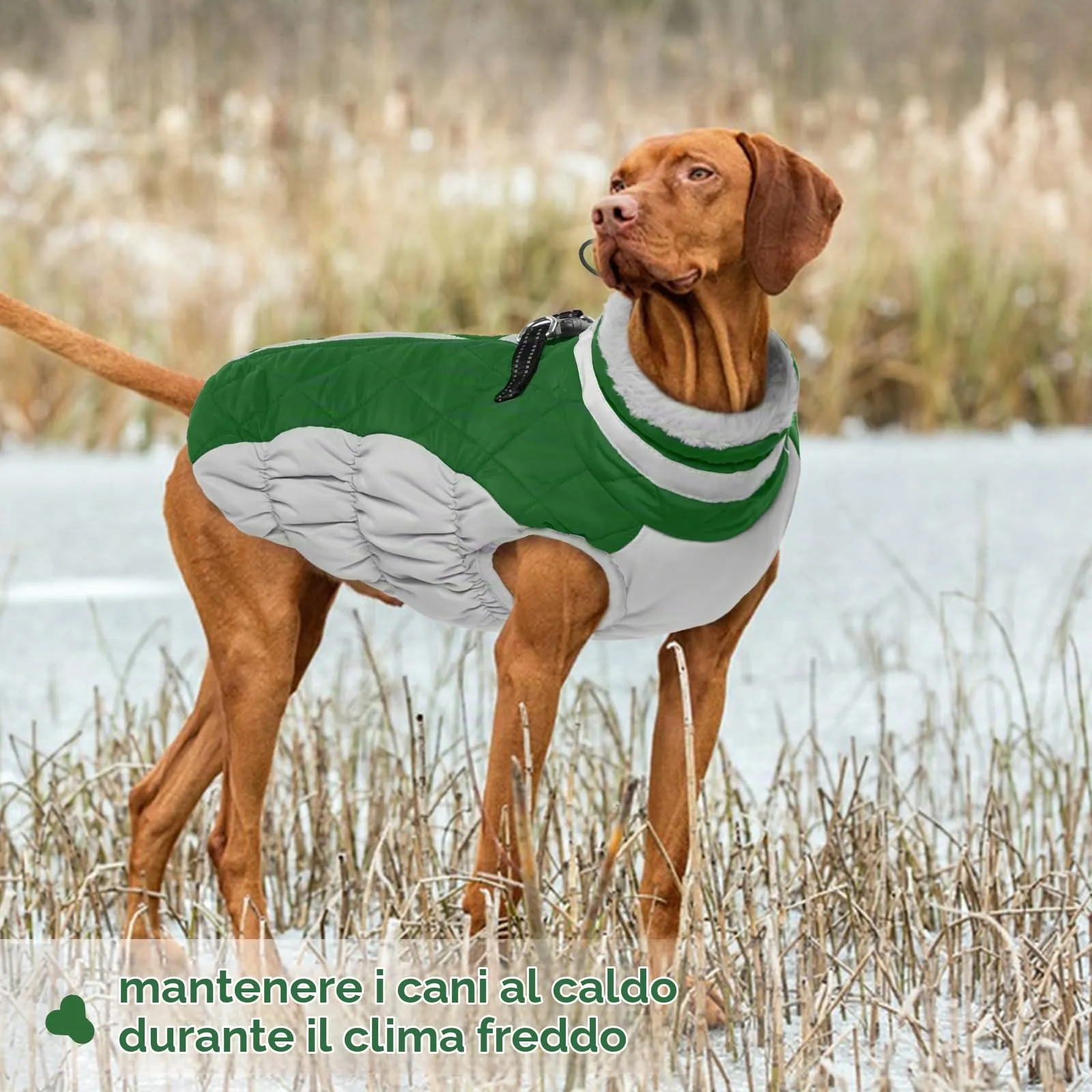 Cappottino Impermeabile Cani, Giacca Invernale Cani Calda Cappotti e Giubbotti per Cani Antivento Abbigliamento Invernale per Cani contro Freddo/Neve(Verde, L) - immagine 6