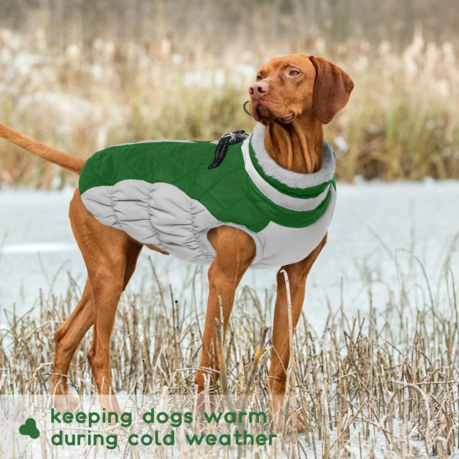 Giubbotto Per Cani Taglia Grande, Giacca Impermeabile Cane, Cappotto Pile Labrador (Verde, 2XL) - immagine 6