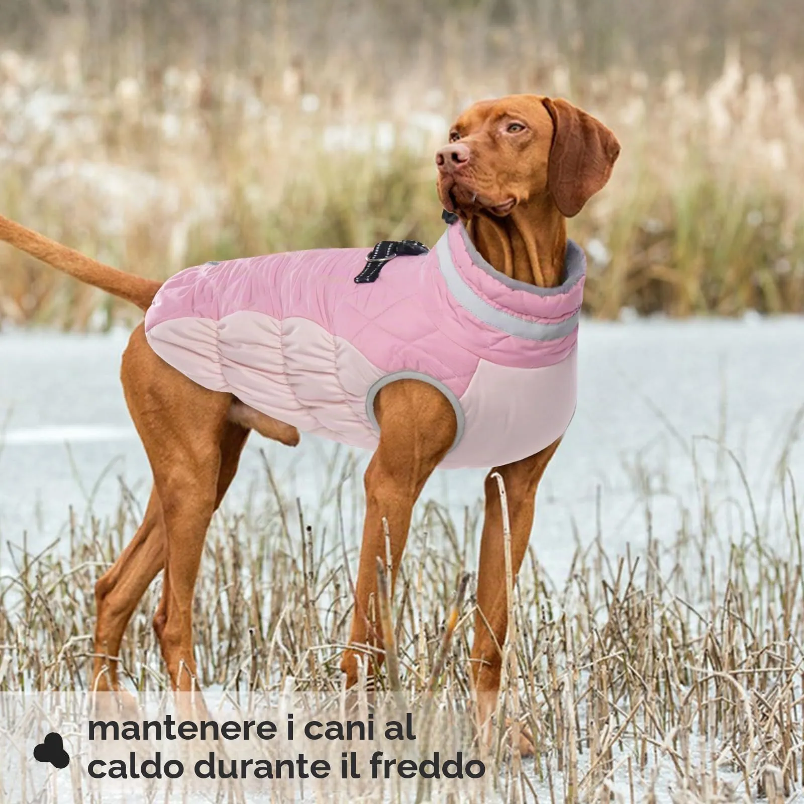 PUMYPOREITY Cappotto Invernale Cani, Vestito Caldo Impermeabile Vest Abbigliamento Anti-neve Doggy Giacca Felpa Cotone Tuta da Sci per Cani con Colletto in Pelliccia Piegabile(Rosa, M) - immagine 6