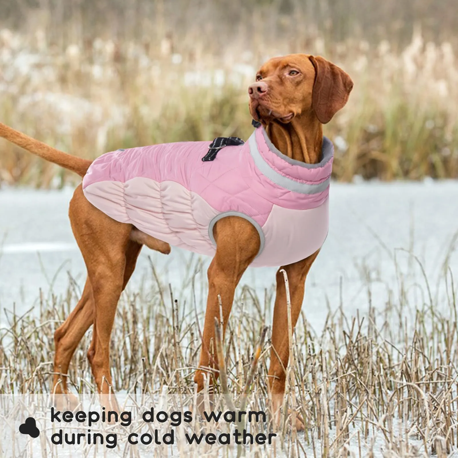 PUMYPOREITY Cappotto Invernale Cani, Vestito Caldo Impermeabile Vest Abbigliamento Anti-neve Doggy Giacca Felpa Cotone Tuta da Sci per Cani con Colletto in Pelliccia Piegabile(Rosa, XL) - immagine 6
