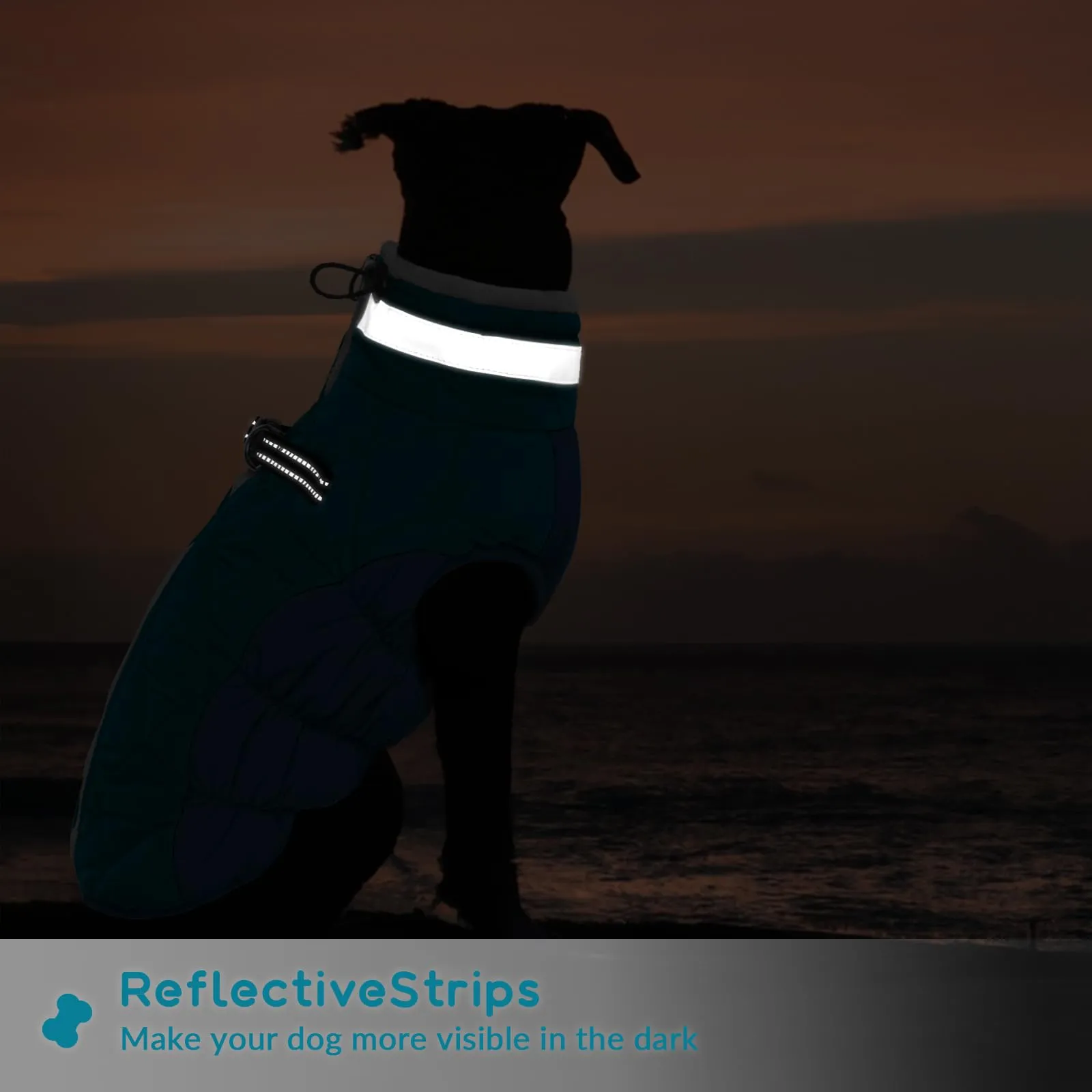 PUMYPOREITY Giacca Invernale Impermeabile Cani, Giubbotto Calda Antivento Cuccioli Riflettente Cappottino con Fodera in Pile Vestito Invernale Gilet Riflettente per Cani(Verde Scuro, XS) - immagine 5