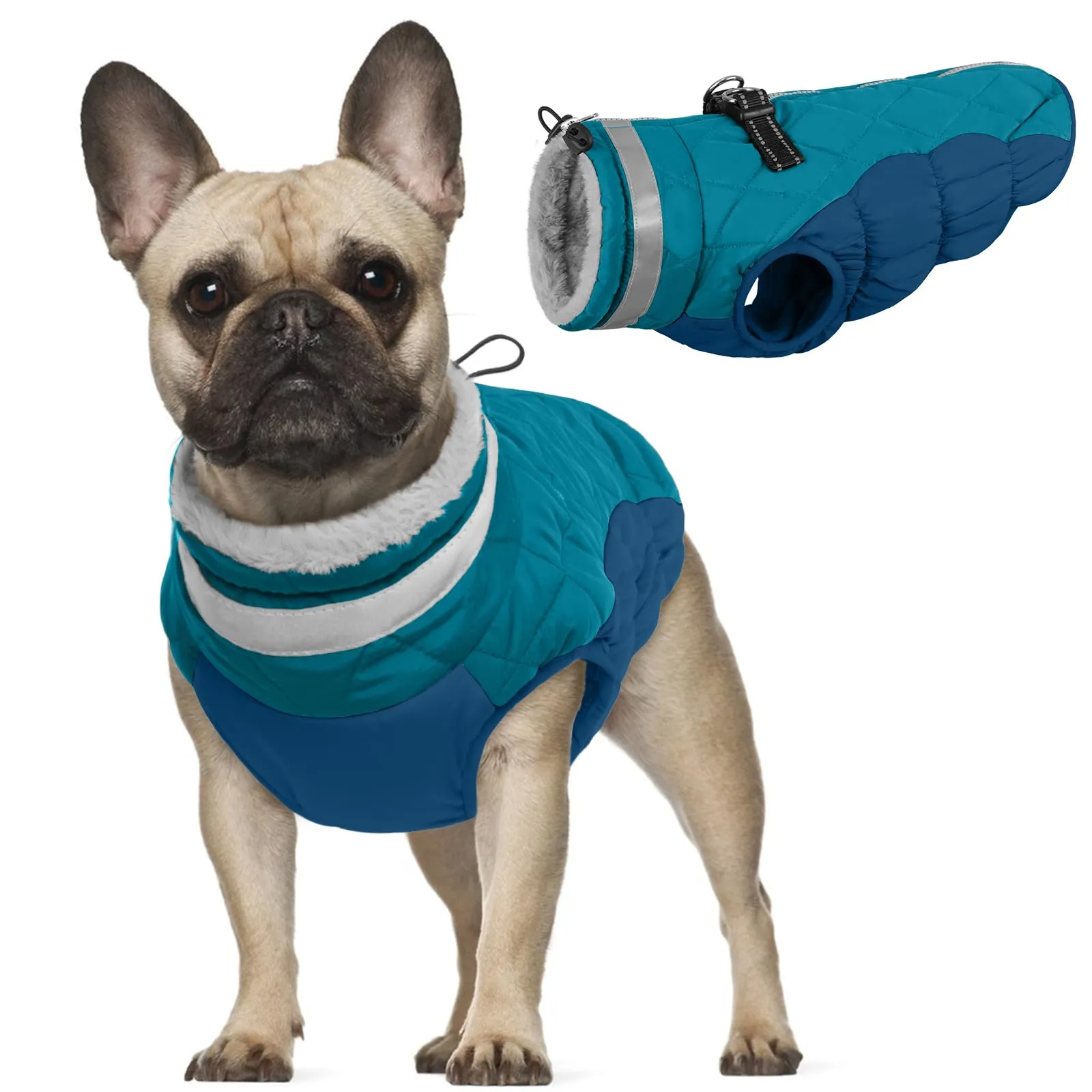 Cappotto Impermeabile per Cani, Piumino Cane Taglia Piccola Cappottino Impermeabile Imbottito per Cuccioli e Cani Piccoli (Verde Scuro, S) - immagine 1