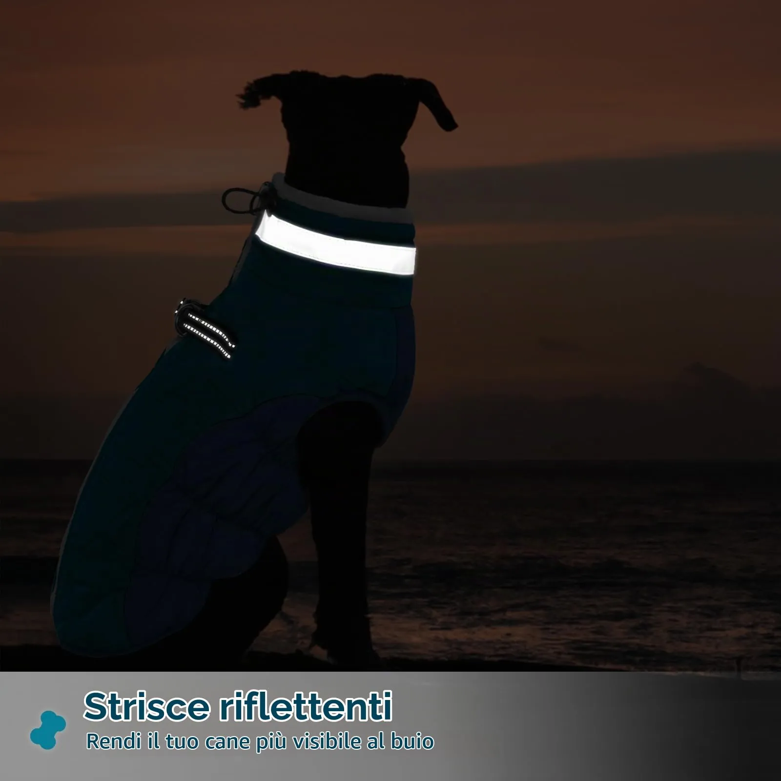 Cappotto Invernale Per Cani, Piumino Giubbotto Impermeabile Neve Con Cerniera Vestito Invernale Tuta (Verde Scuro, M) - immagine 5
