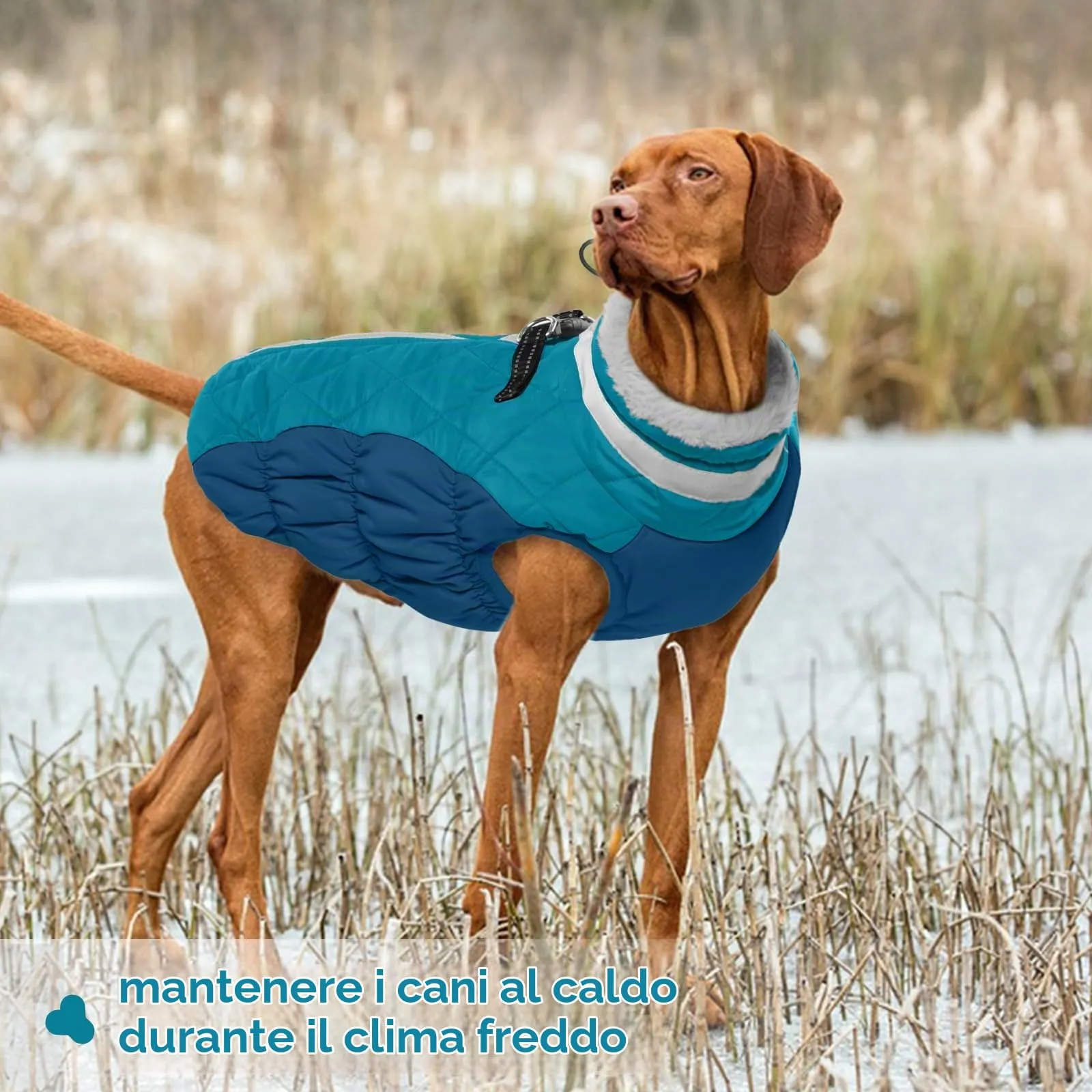 Cappotto Invernale Per Cani, Piumino Giubbotto Impermeabile Neve Con Cerniera Vestito Invernale Tuta (Verde Scuro, M) - immagine 6