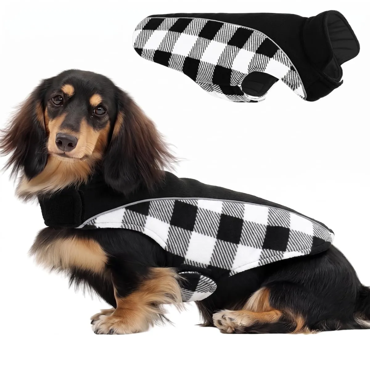 CITÉTOILE Cappotto Invernale per Cani, Giacca Calda e Antivento Nero L - immagine 1