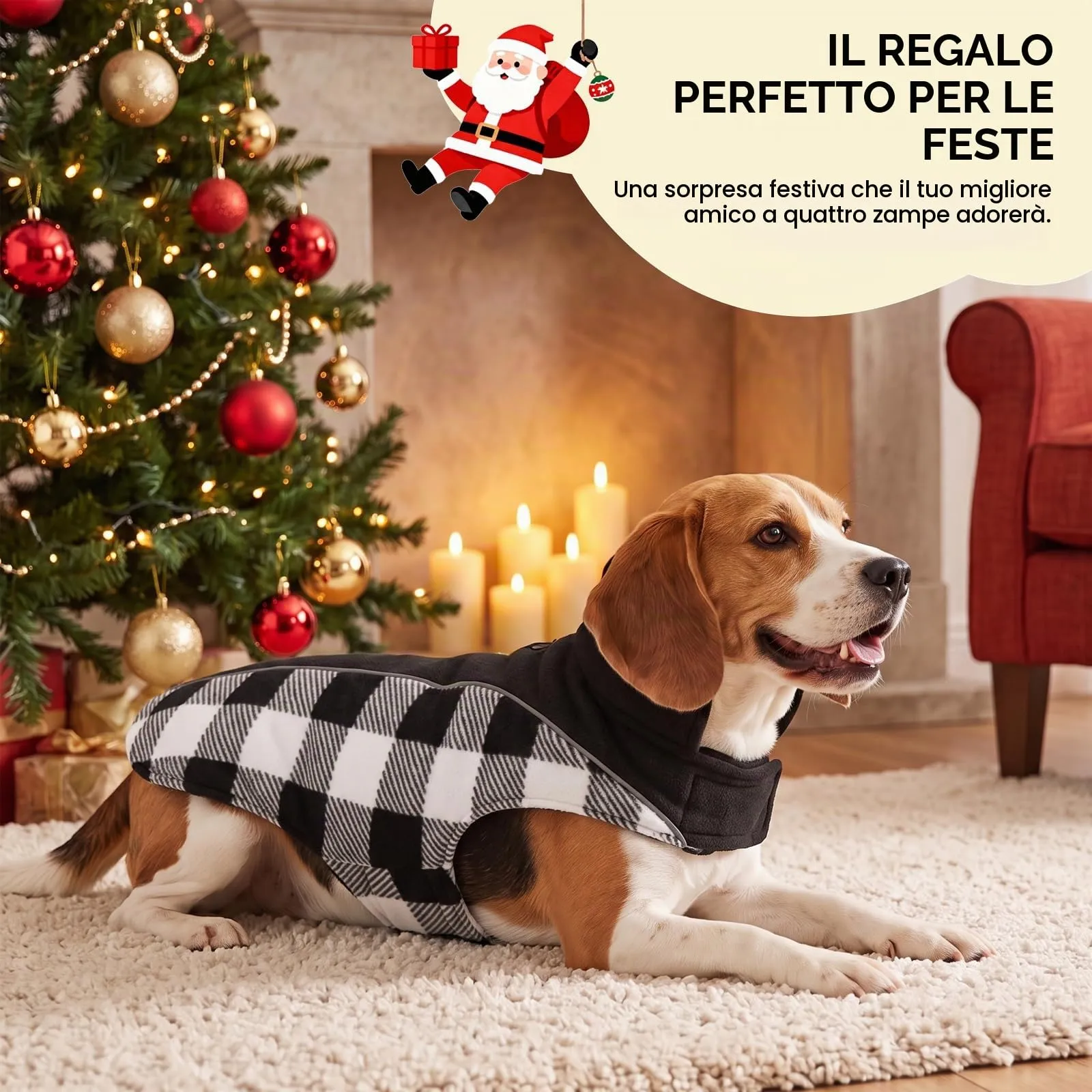 CITÉTOILE Cappotto Invernale per Cani, Giacca Calda e Antivento Nero S - immagine 6