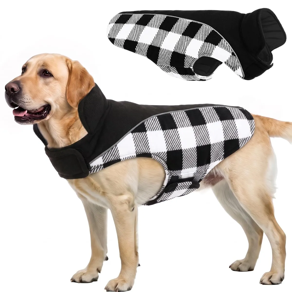 CITÉTOILE Cappotto Invernale per Cani, Giacca Calda e Antivento Nero XXL - immagine 1