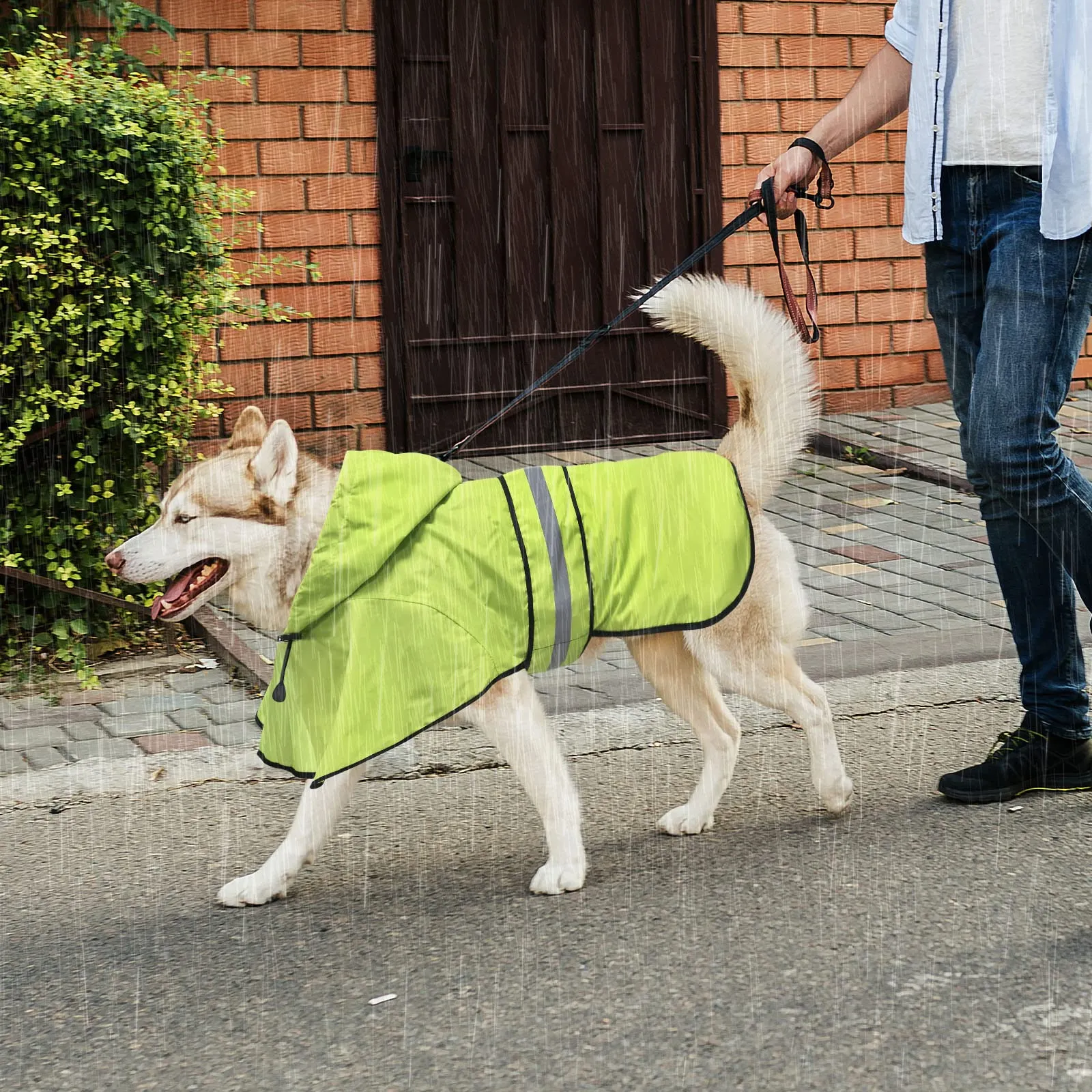 Domagiker - Impermeabile per cani con cappuccio riflettente, giacca impermeabile per cuccioli con foro per guinzaglio, poncho leggero per animali domestici per passeggiate con il cane (piccolo, verde) - immagine 3