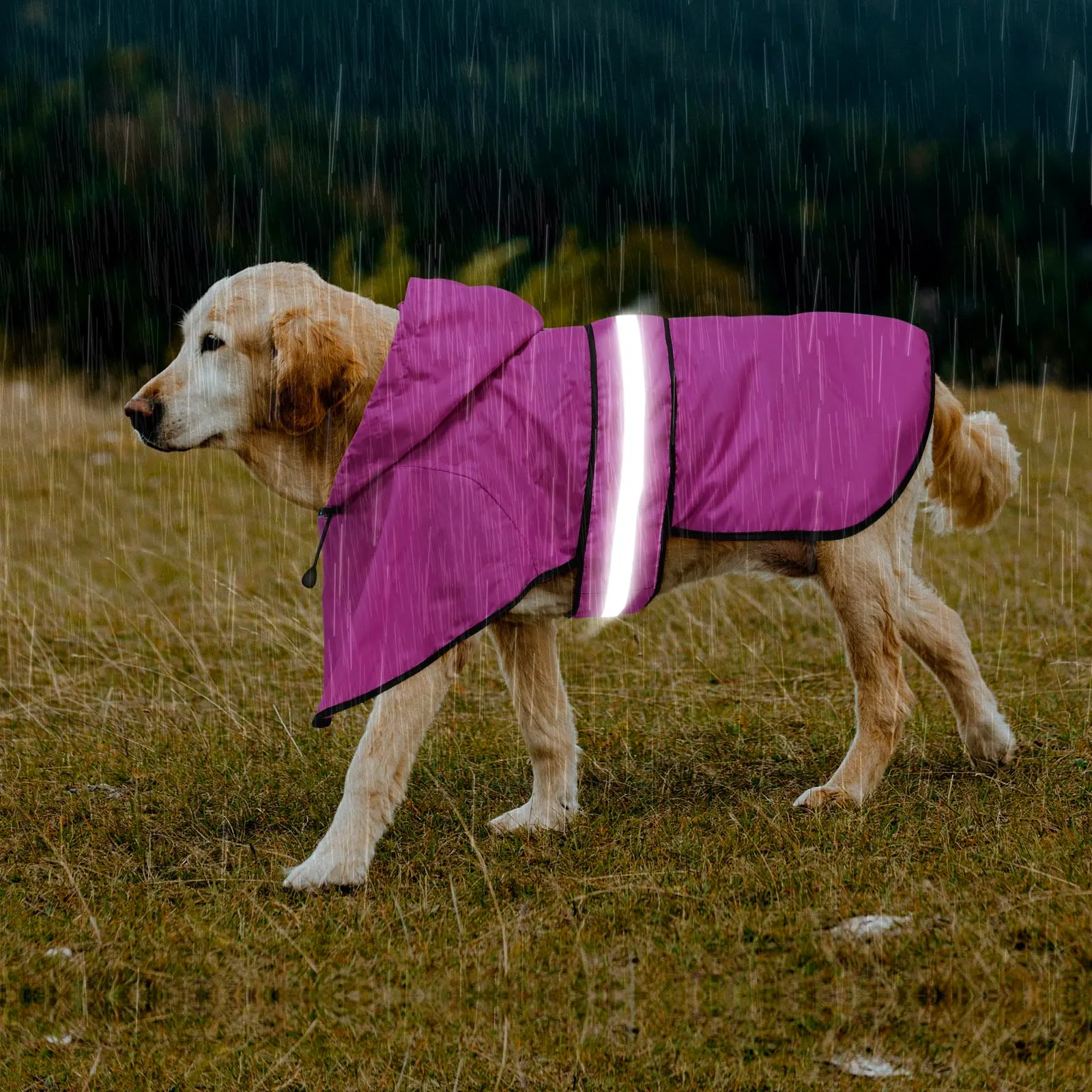 Domagiker Impermeabili per Cani - Impermeabili con Cappuccio per Cani, Cappotto Antipioggia per Cani Regolabile Riflettente, Giacca Antipioggia Antivento per Cani Poncho Antipioggia per Animali per - immagine 4