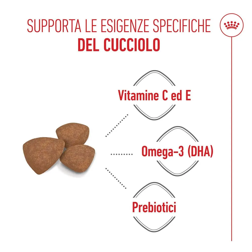 ROYAL CANIN Mini Puppy - Alimento secco completo per cucciolo - 4kg - immagine 3