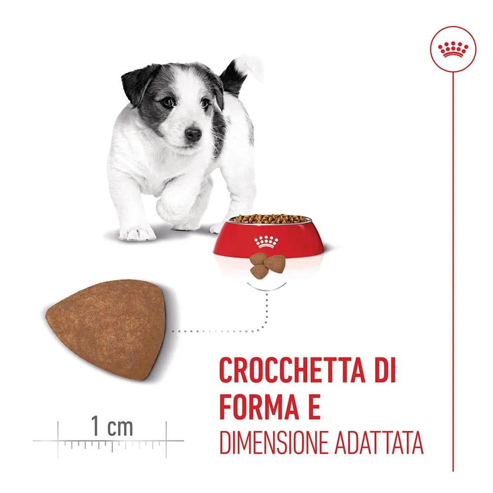 ROYAL CANIN Mini Puppy - Alimento secco completo per cucciolo - 4kg - immagine 5