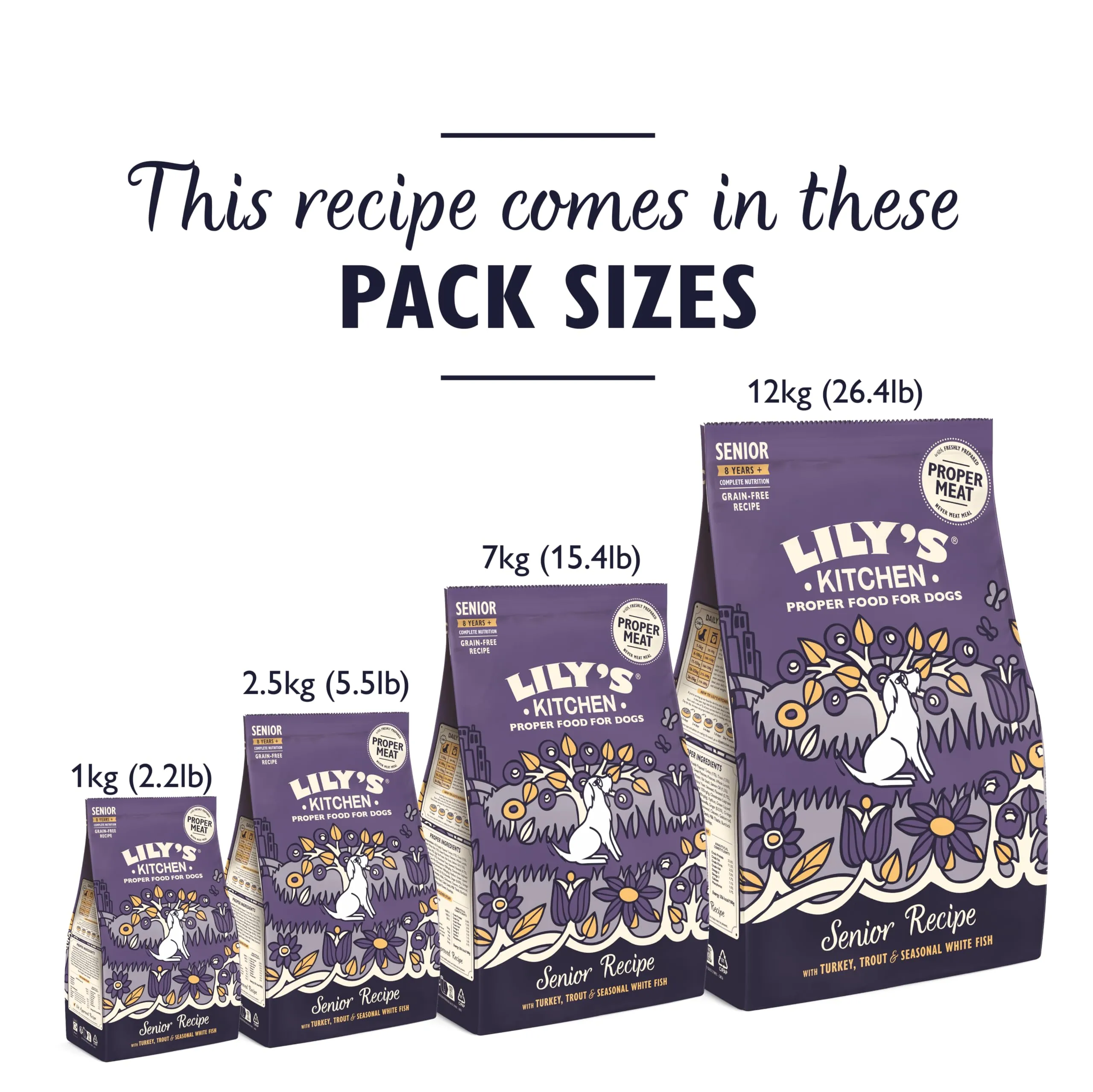 Lily's Kitchen Completo Crocchette Cani per cani adulti 8+ Senior (2.5 kg) - Salmone e trota - immagine 4