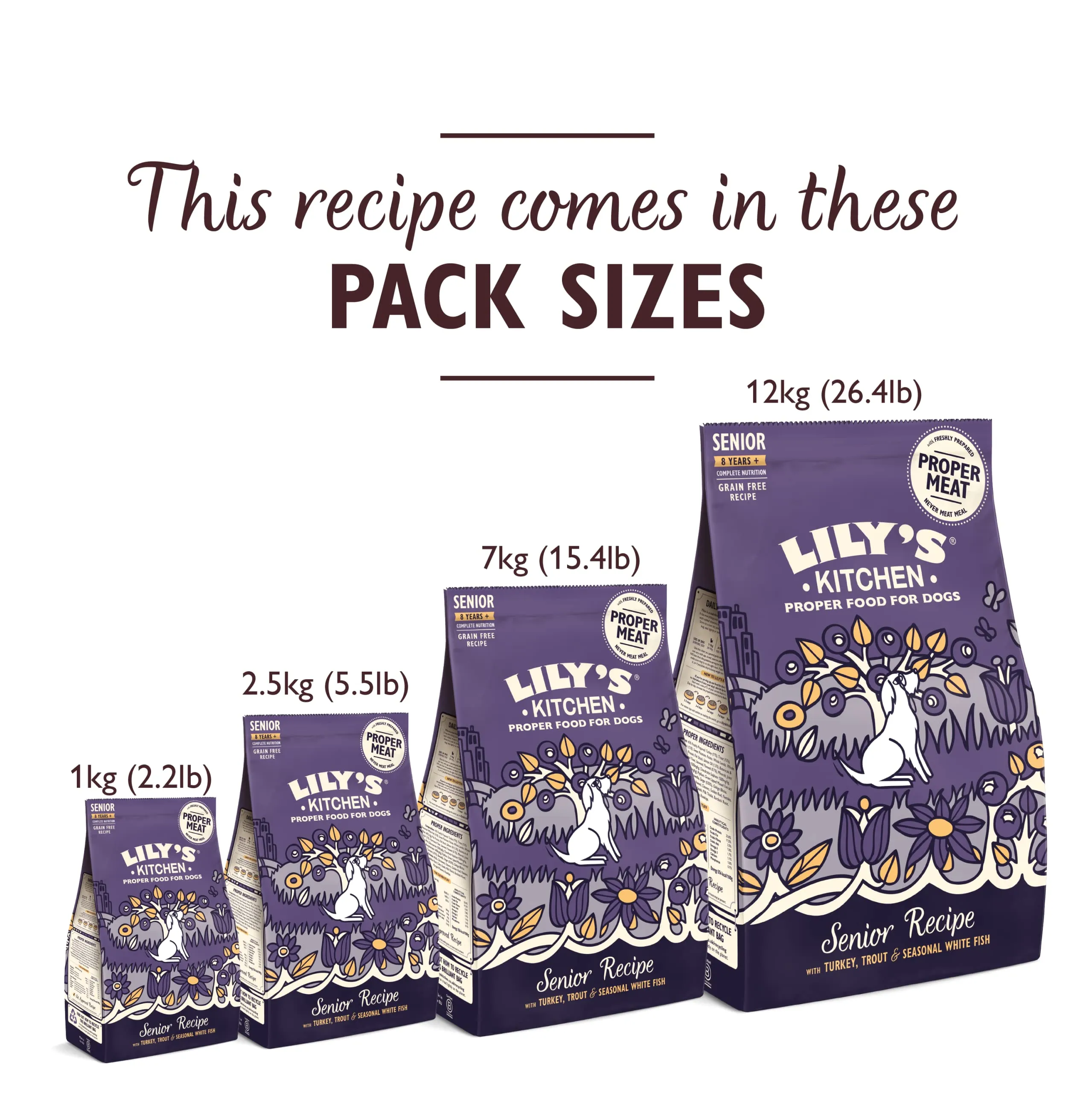 Lily's Kitchen Completo Crocchette Cani per cani adulti 8+ Senior (2.5 kg) - Salmone e trota - immagine 5