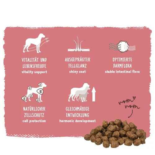 bosch HPC Mini Adult | con agnello e riso | cibo secco per cani adulti di razze piccole (fino a 15 kg) | 1000 g - immagine 5