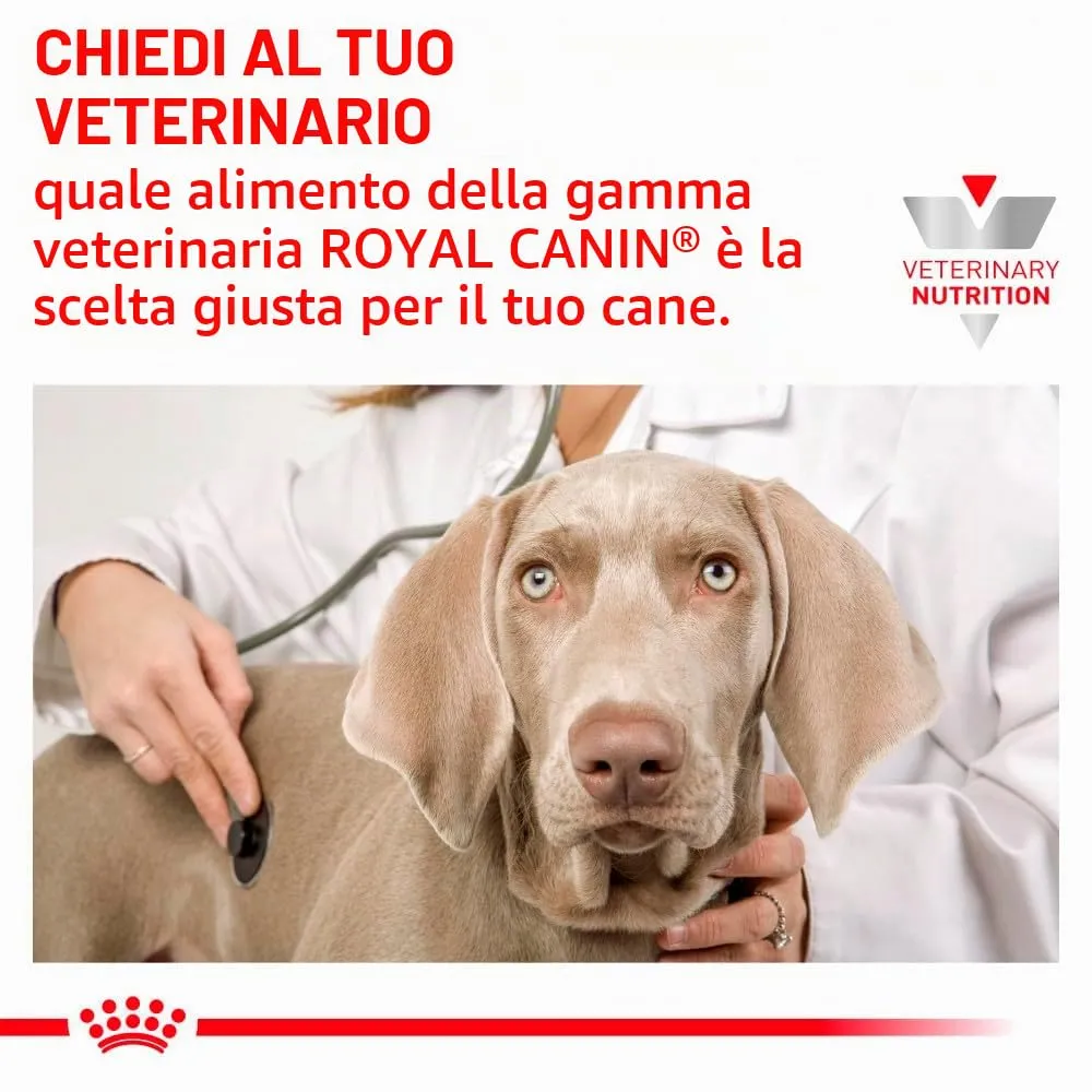 Royal Canin Veterinary Gastrointestinal Puppy Ultra Soft Mousse | 12 x 195 g | Alimento dietetico completo per cuccioli | per supportare l'assorbimento intestinale in caso di disturbi acuti - immagine 5
