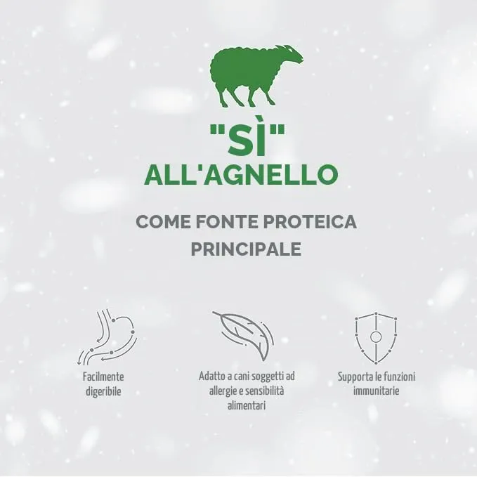 Nature's Protection Superior Care Cibo secco adulti, Agnello 1,5 kg - immagine 6