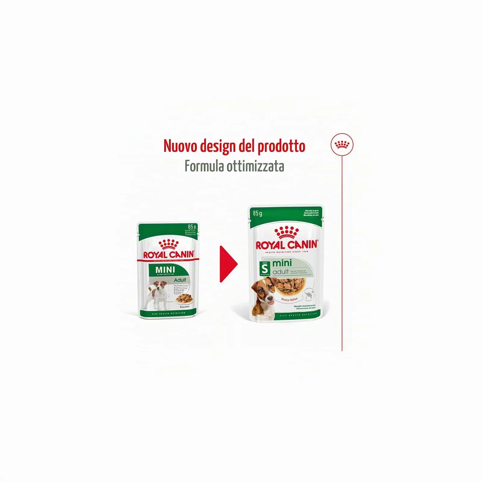 Mini Adult | Cibo umido per cani | 2 x 12 x 85 g | Bocconcini in salsa - immagine 3